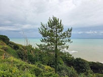 A minute walk from the hotels front doors.