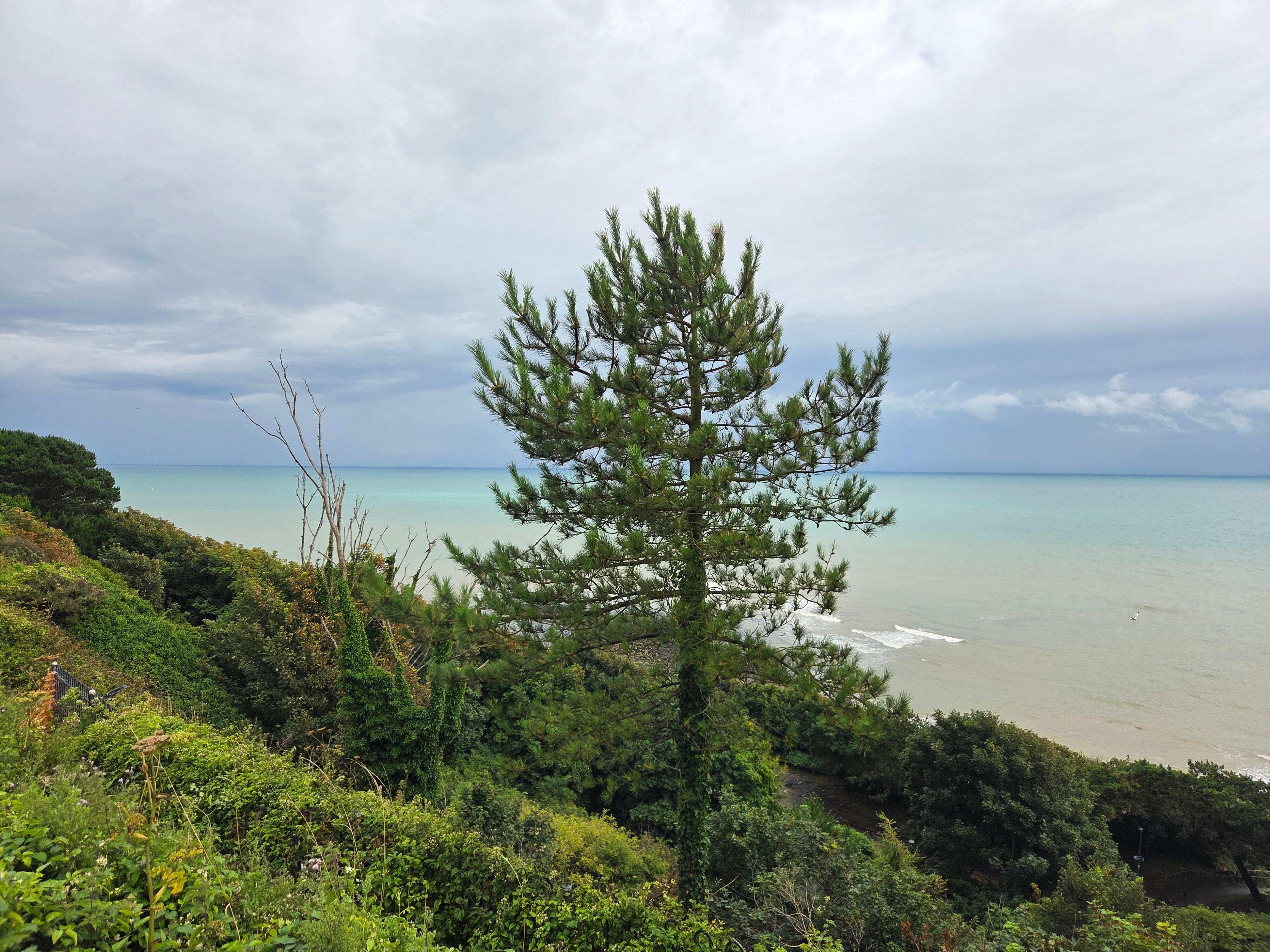 A minute walk from the hotels front doors. 