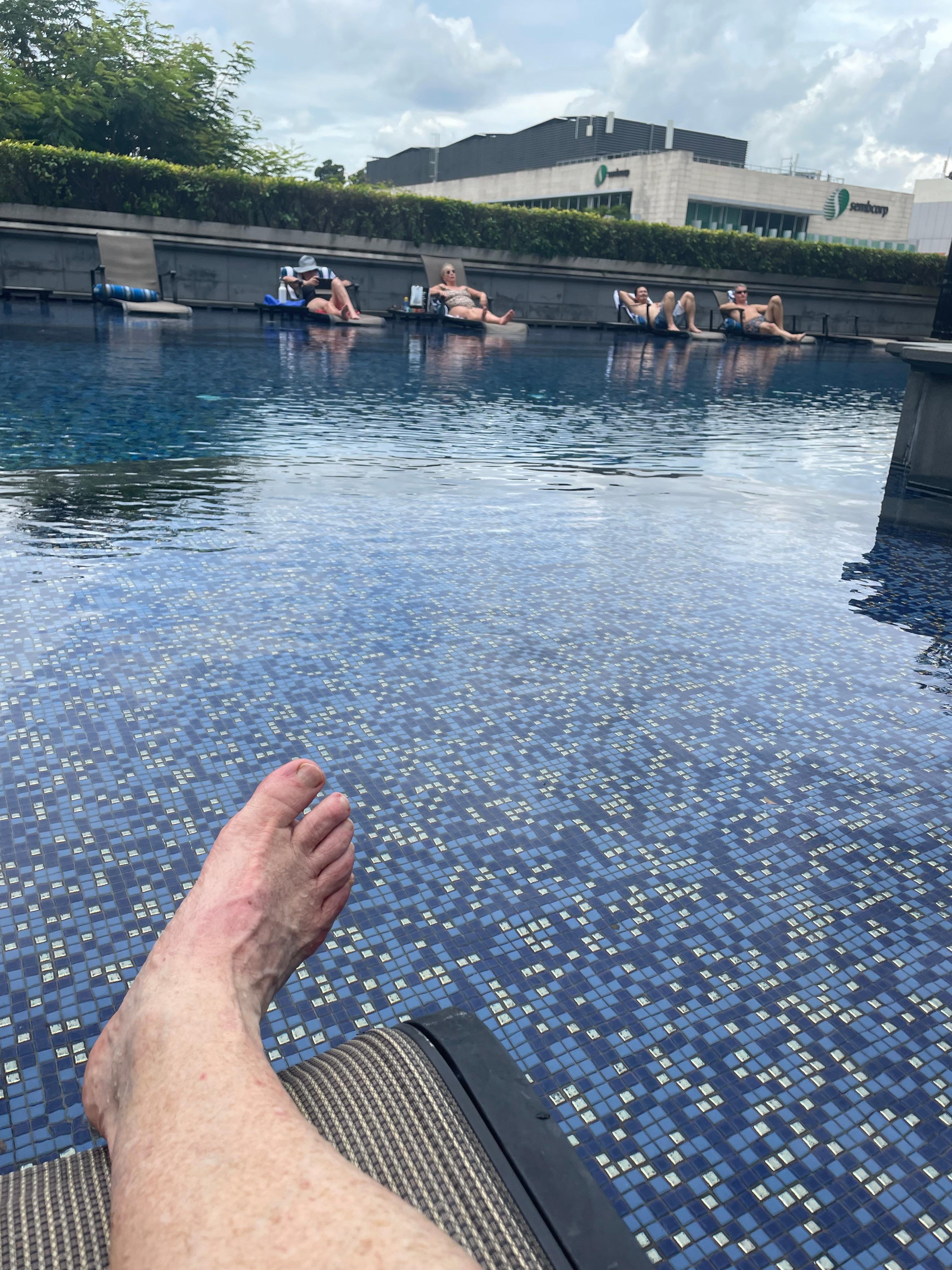 Quirky pool. All one depth, which made it convenient to move around. 