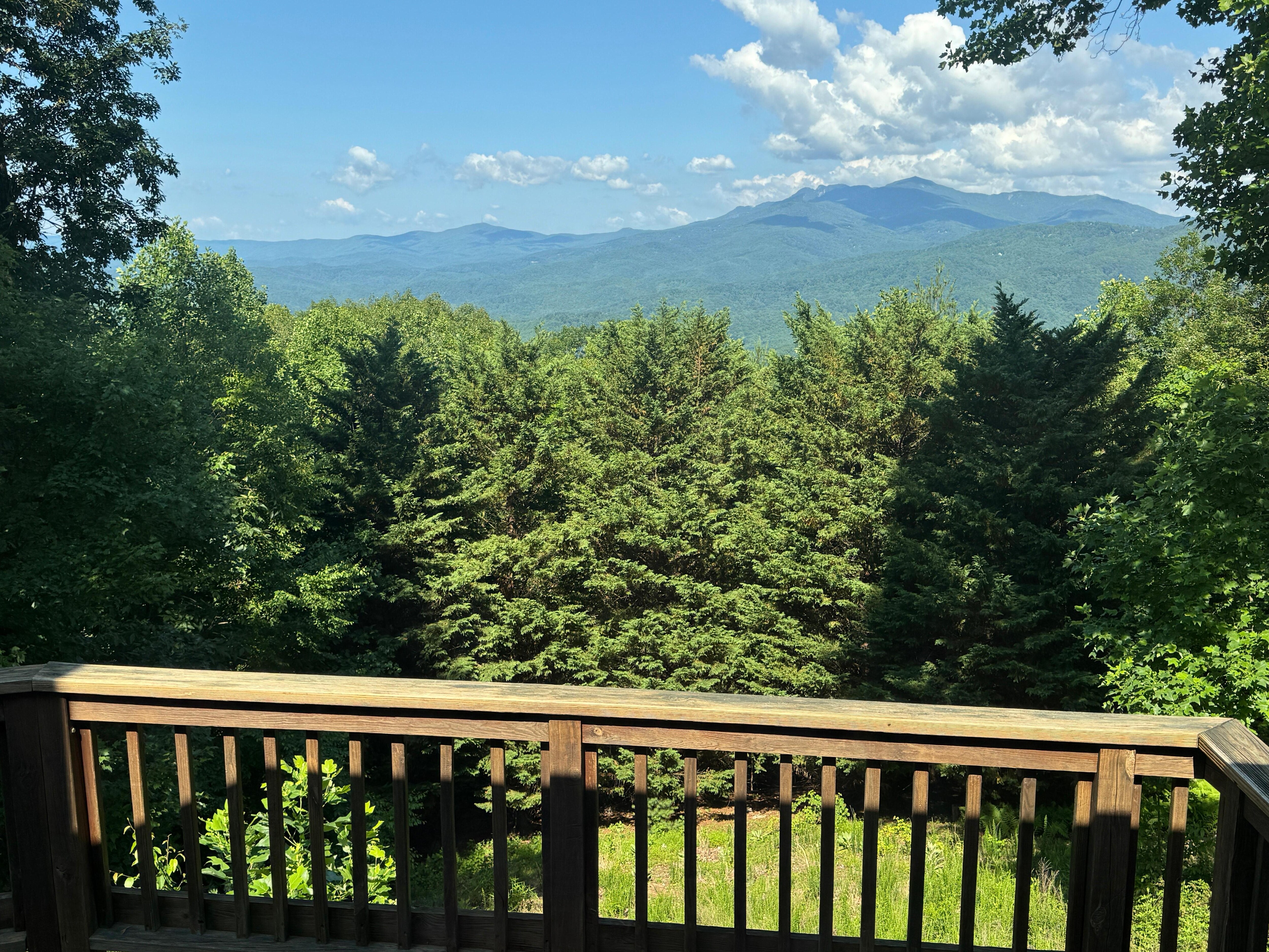 View from the upper deck.