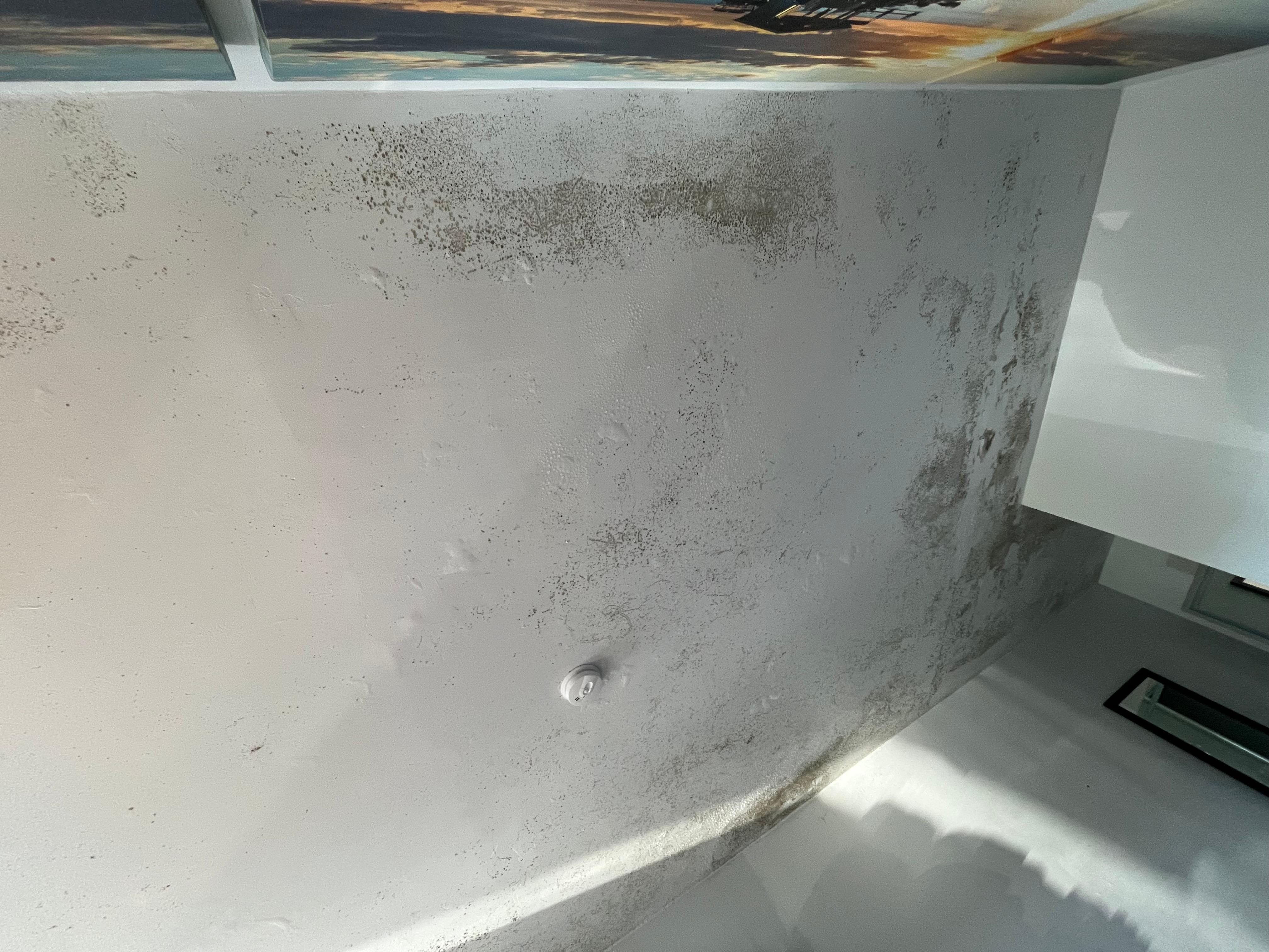 Ceiling mold