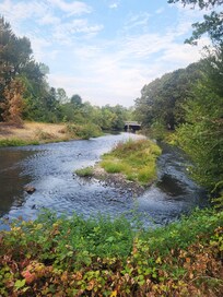 Creek nearby