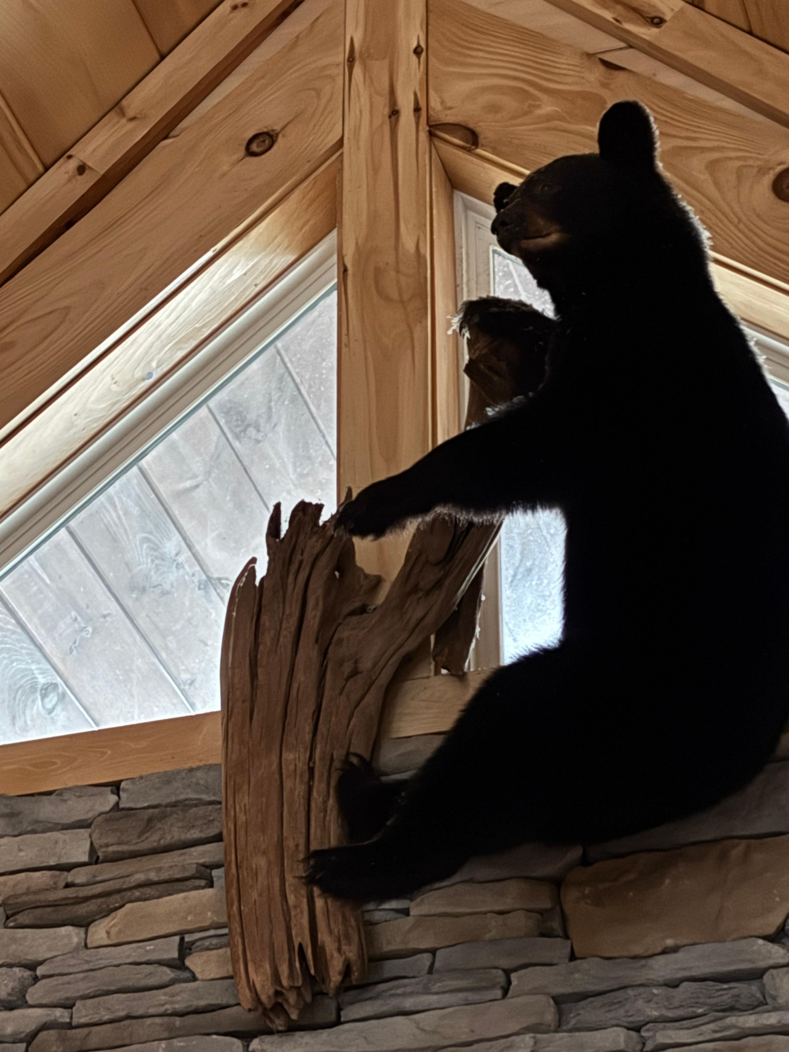 The animals in the cabin are really cool