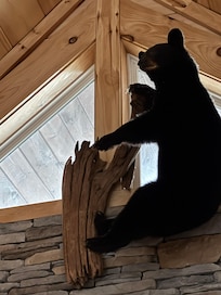 The animals in the cabin are really cool