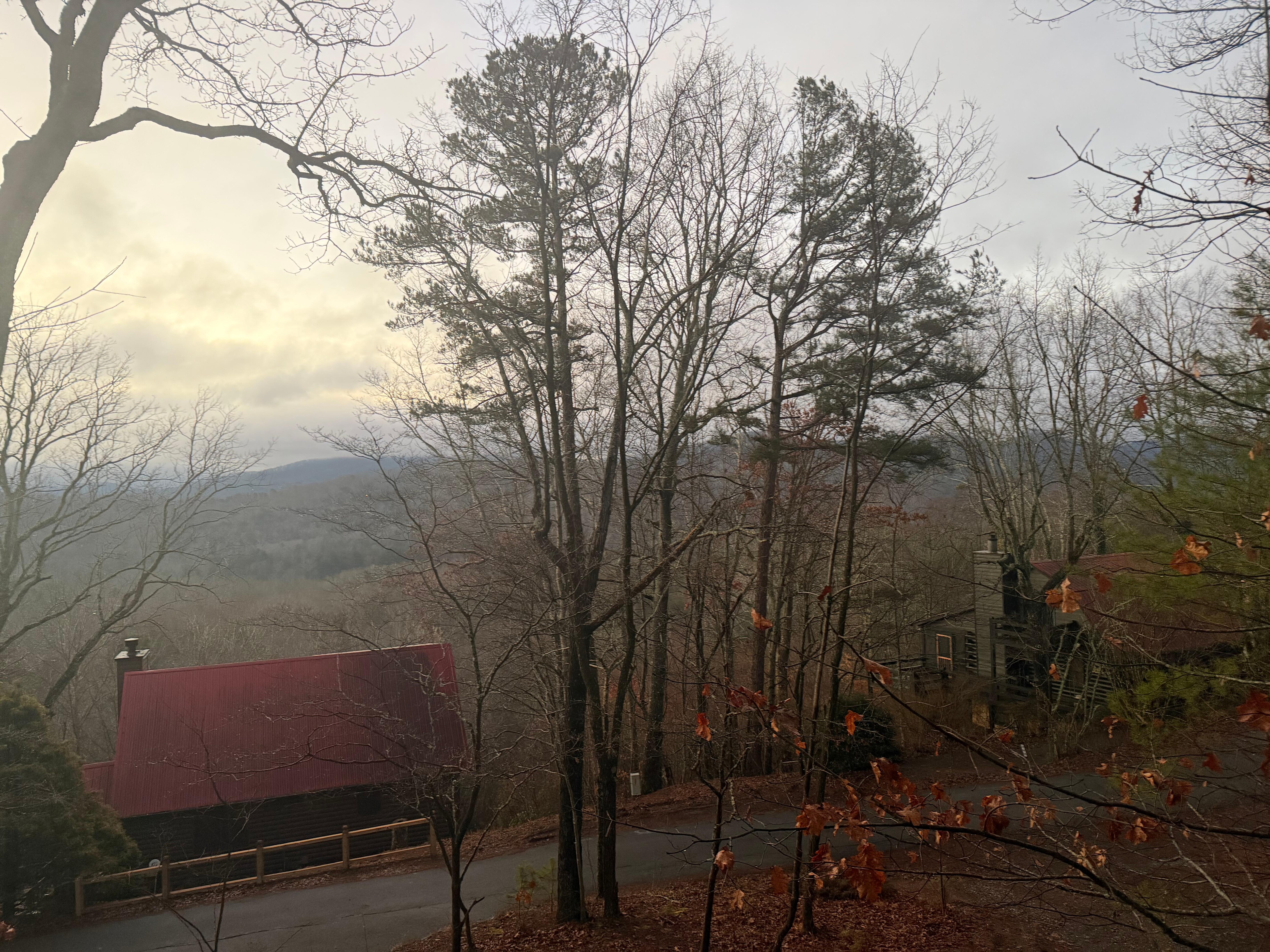 View from the back deck. 