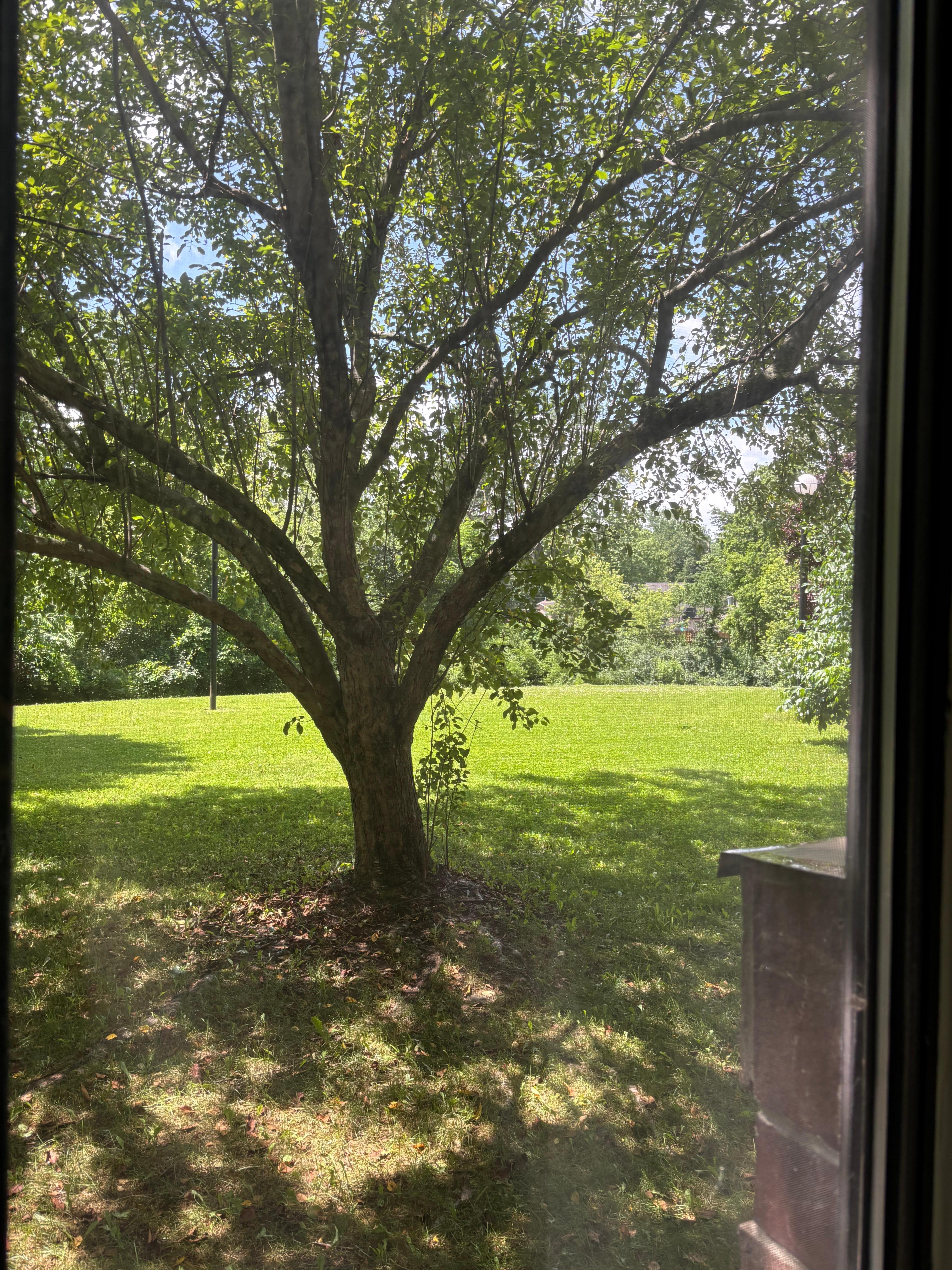 The view from our room