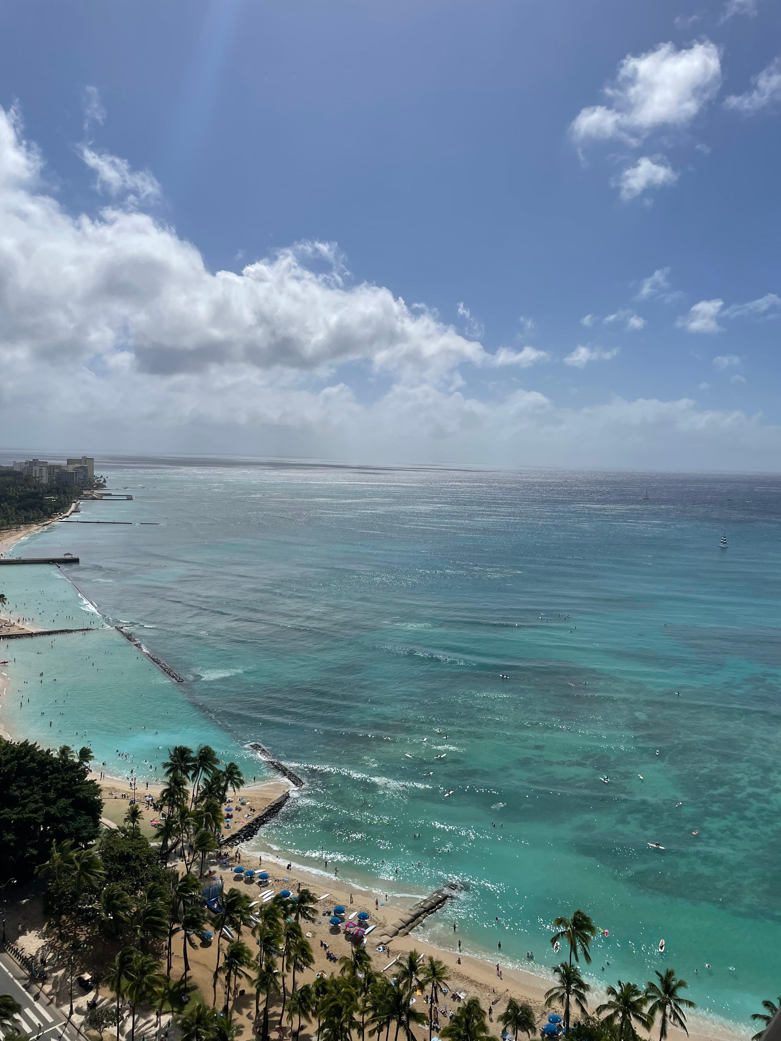 Ocean view, high floor option (floor 31)