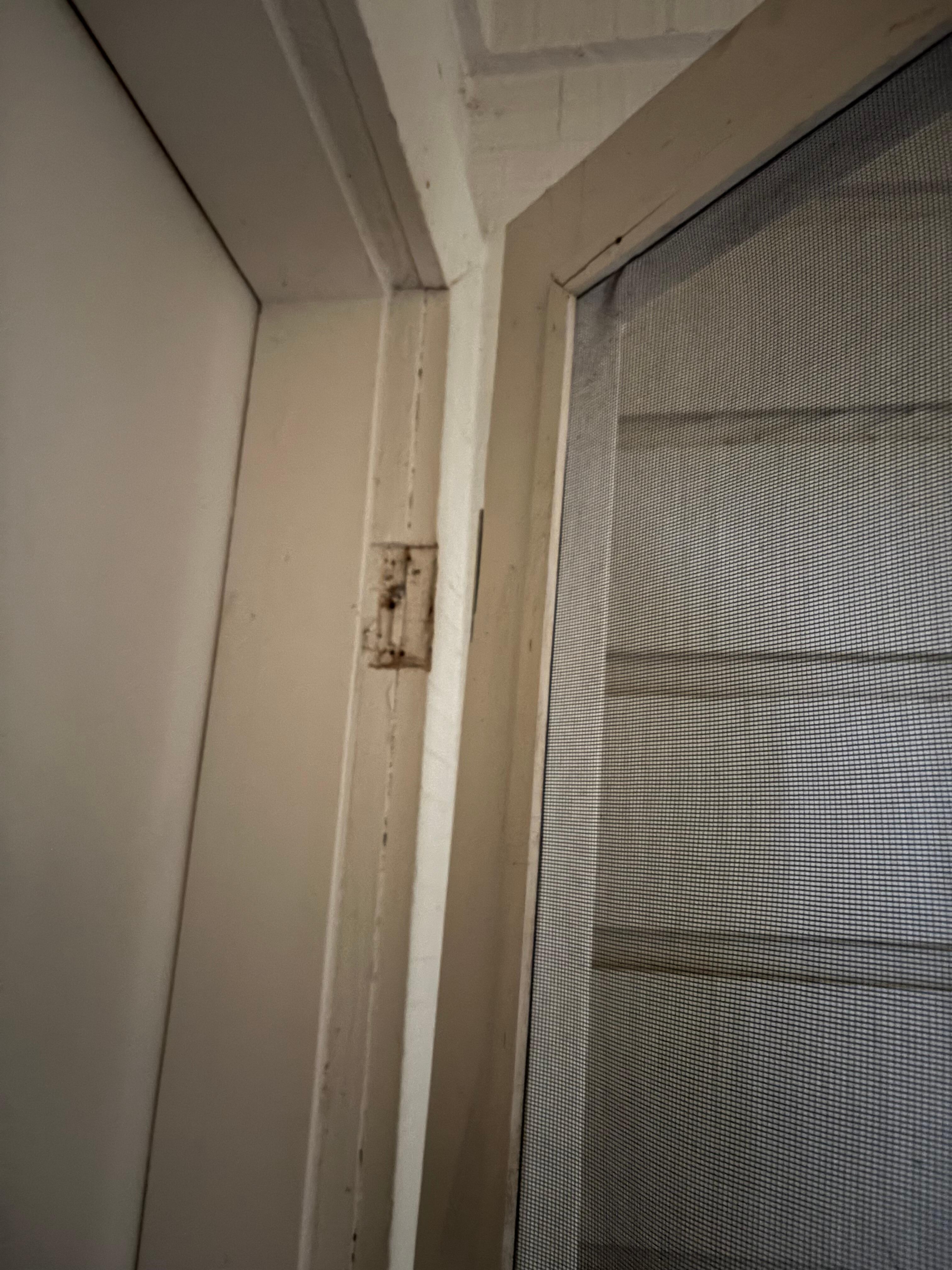 Screen door hinge