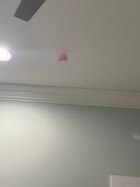 Sticky bra on ceiling