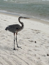 Our friend that hung out with us.