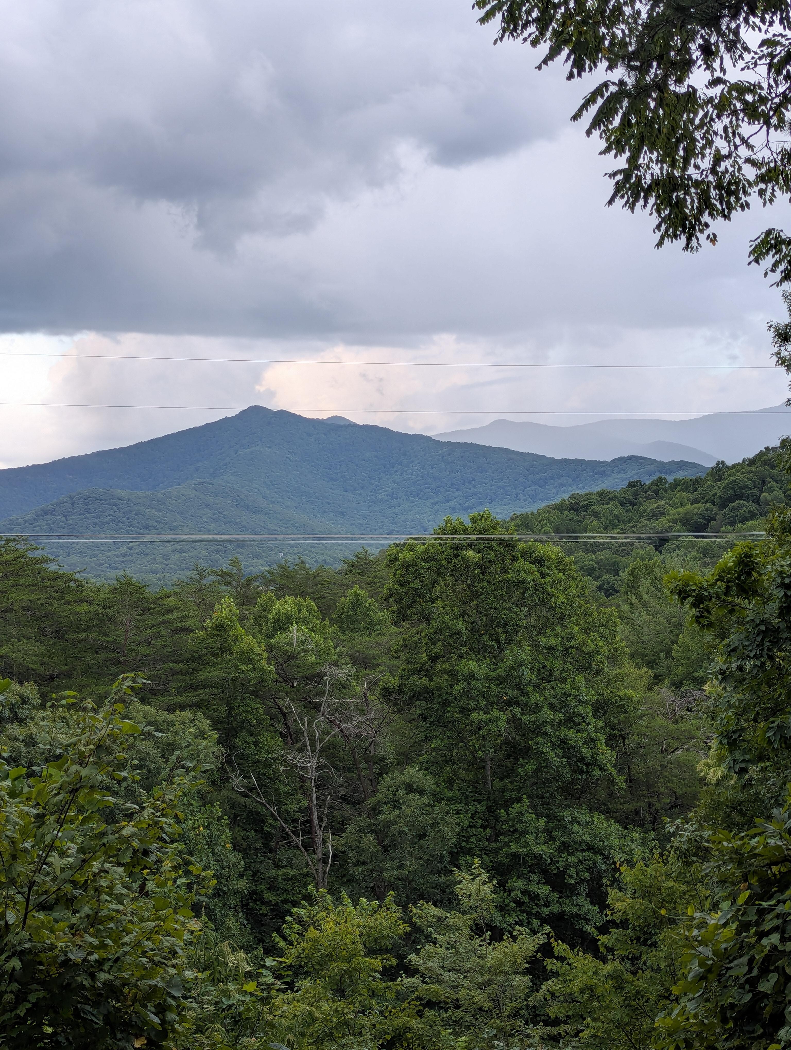 Bald Mountain can be seen in the distance, far right! 