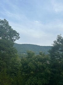 View from the deck