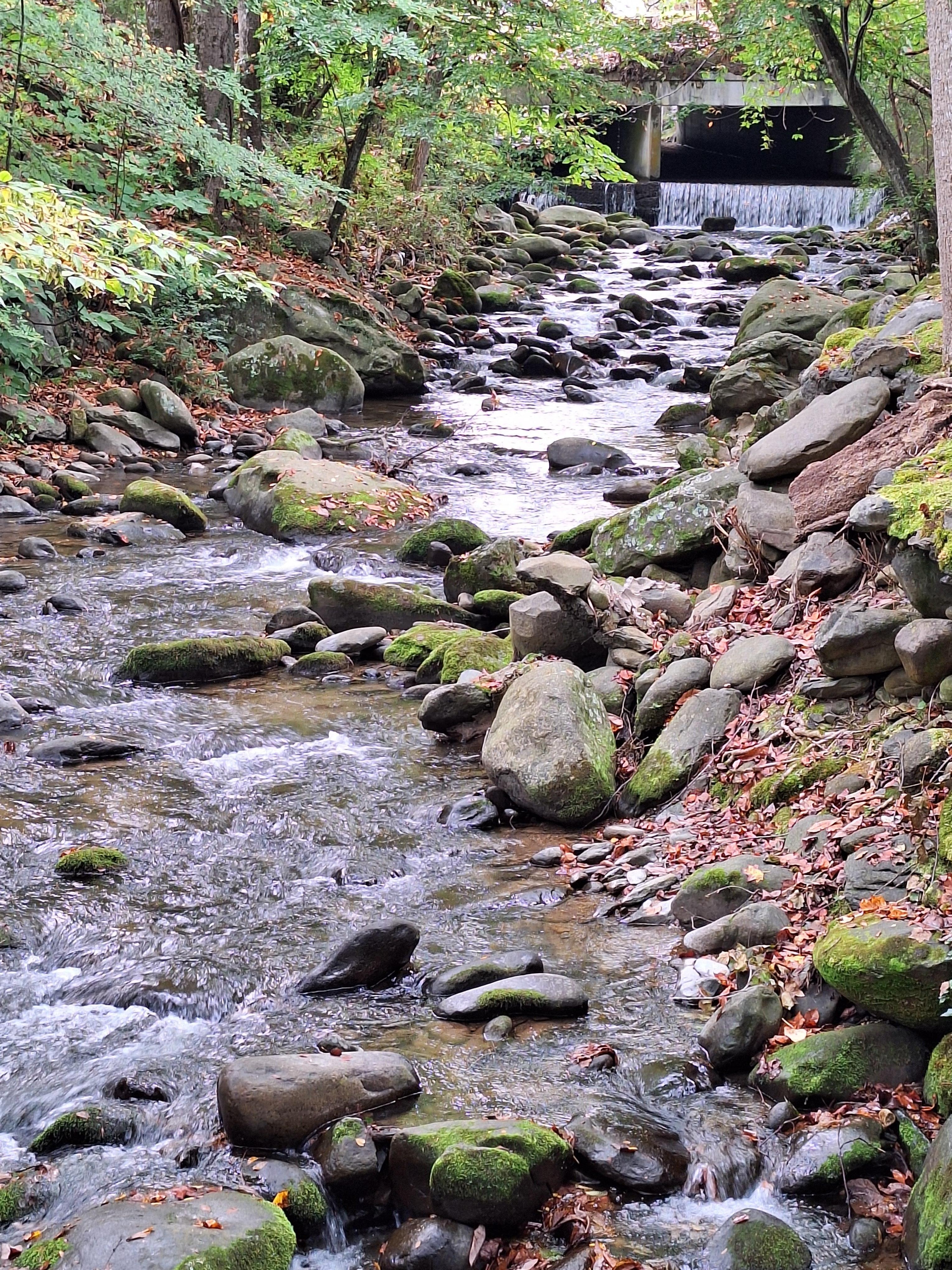 A view from the bridge. 