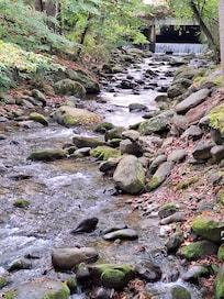 A view from the bridge.