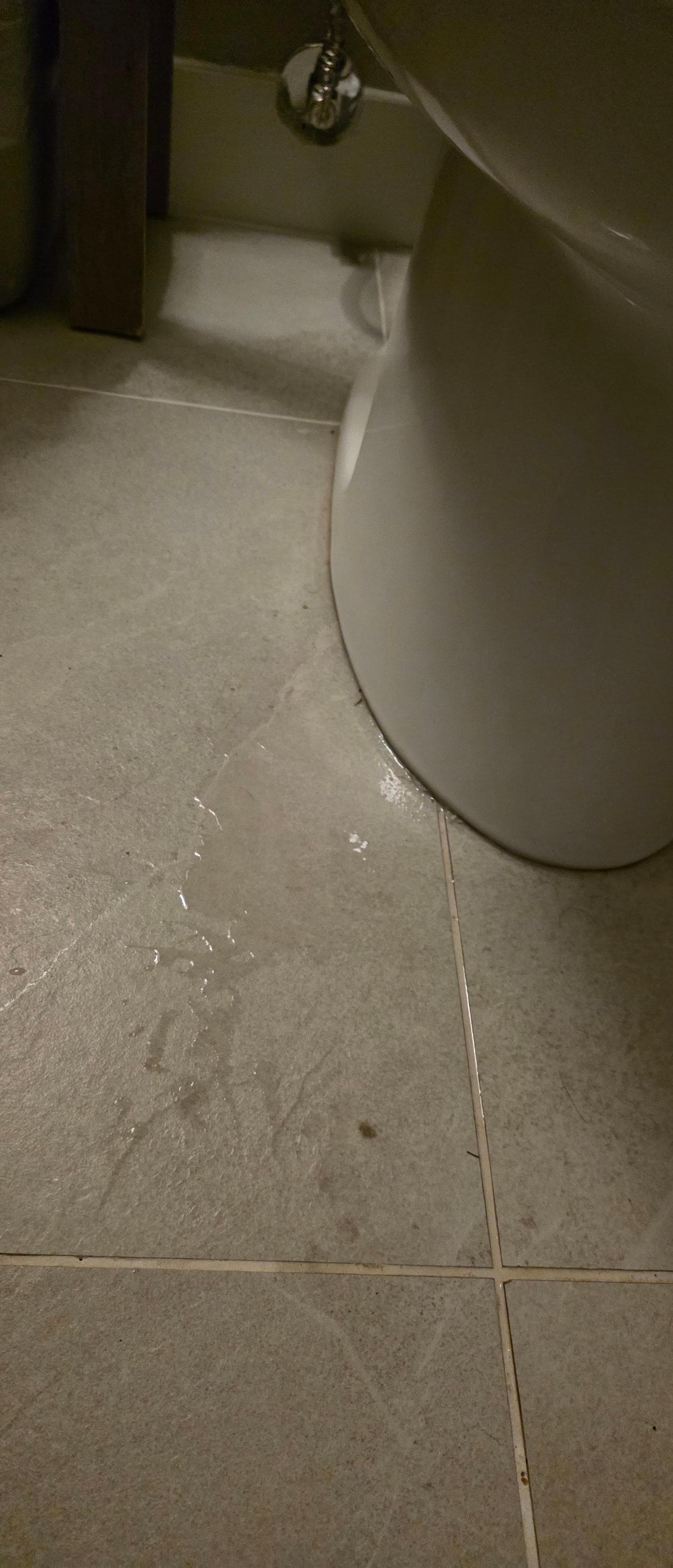 Toilet leaked every time you flushed