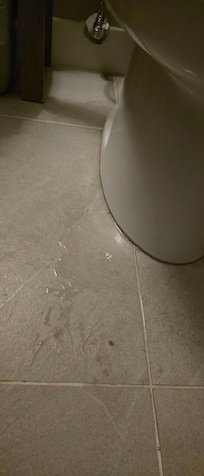 Toilet leaked every time you flushed
