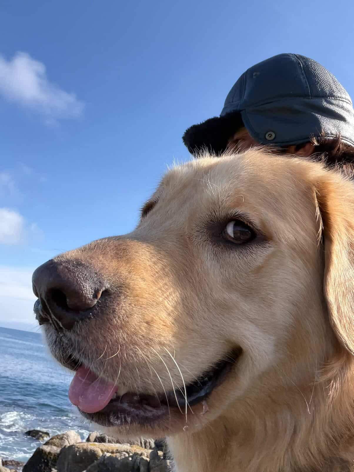 Bula Vinaka 😉🙏