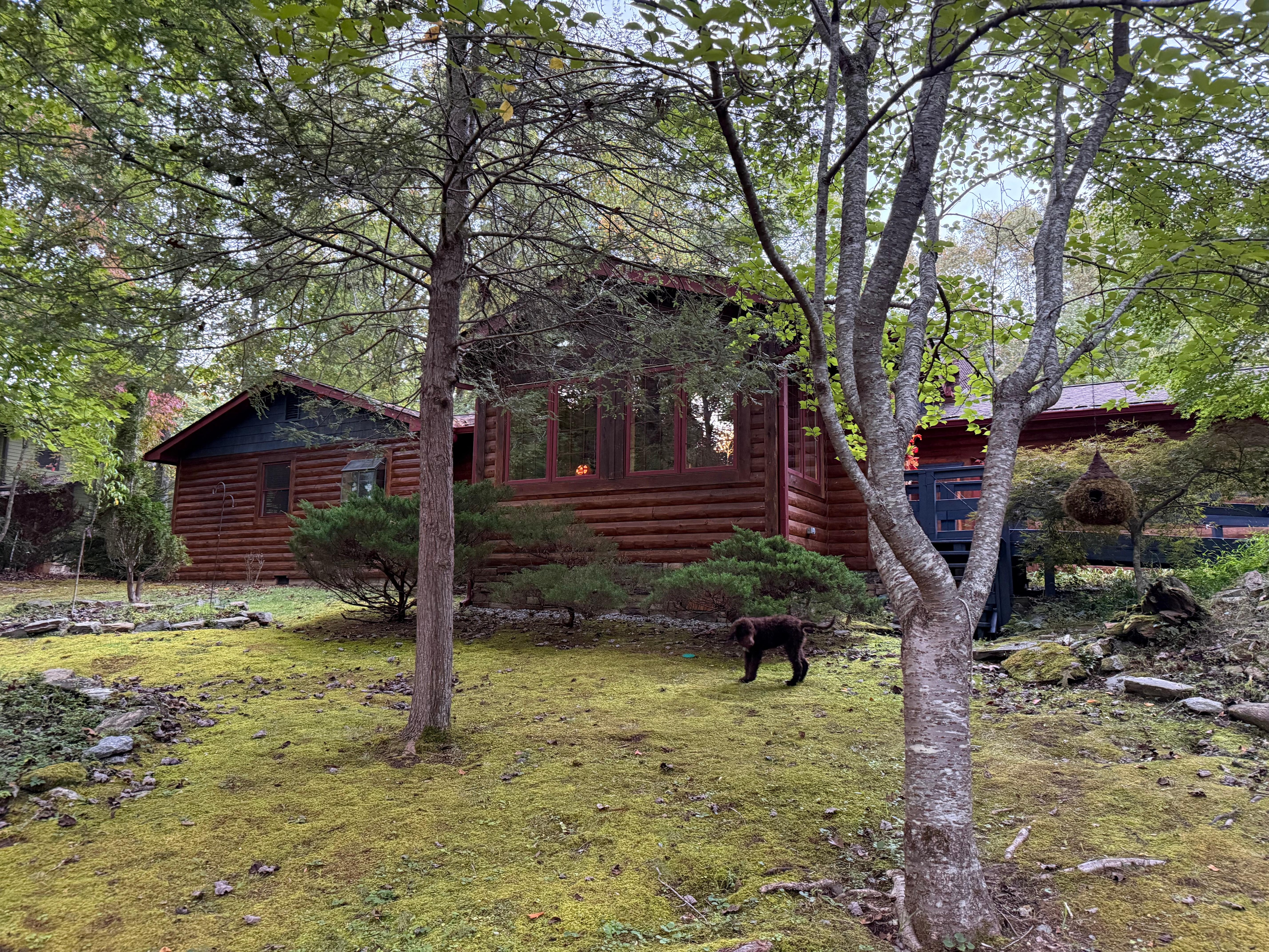 Our view driving up to cabin.