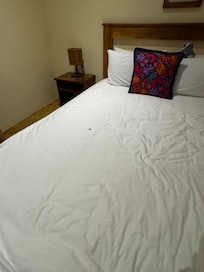 Giant bug crawling on our bed