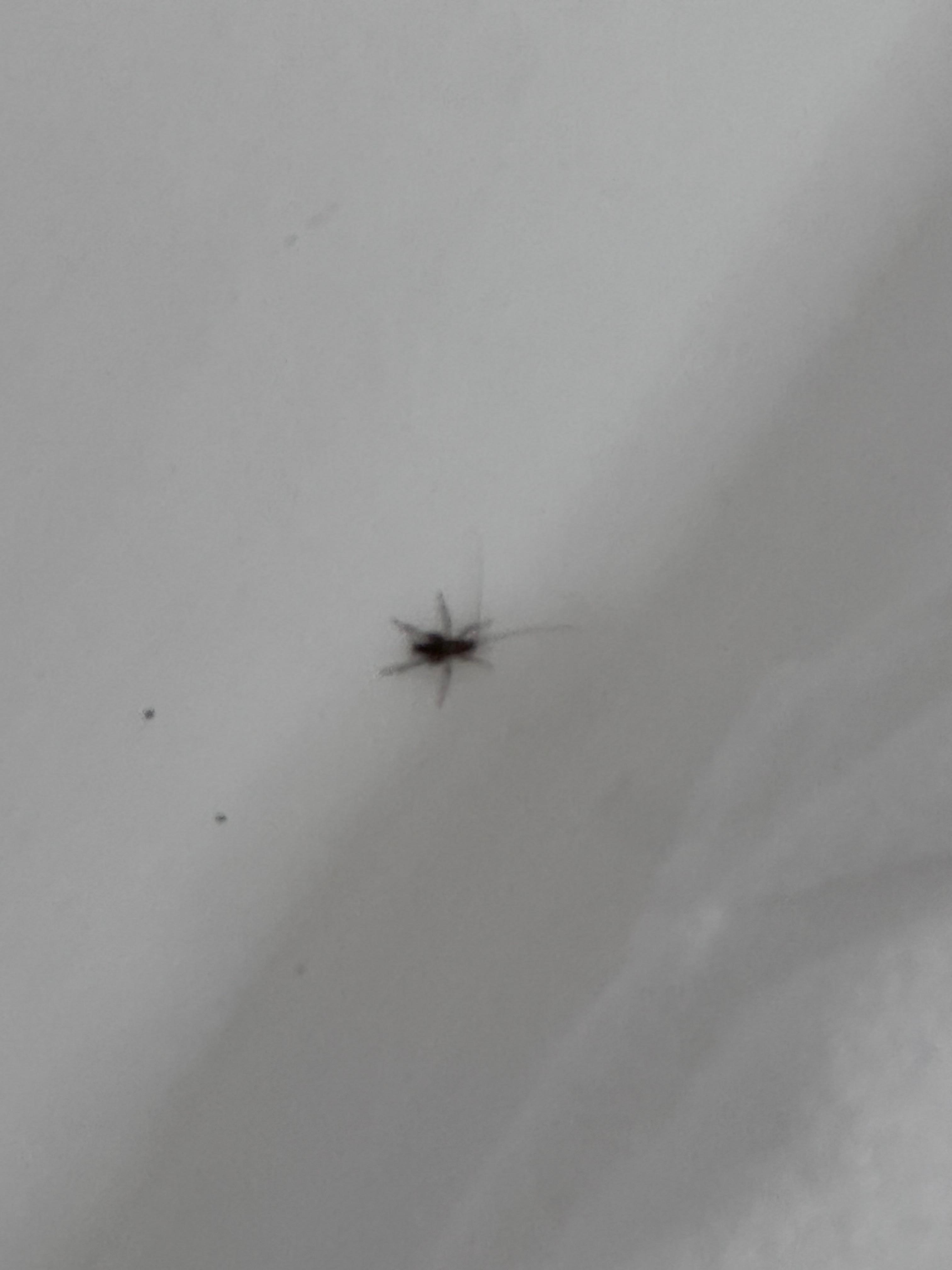 Let’s not forget the bugs in the bathroom 