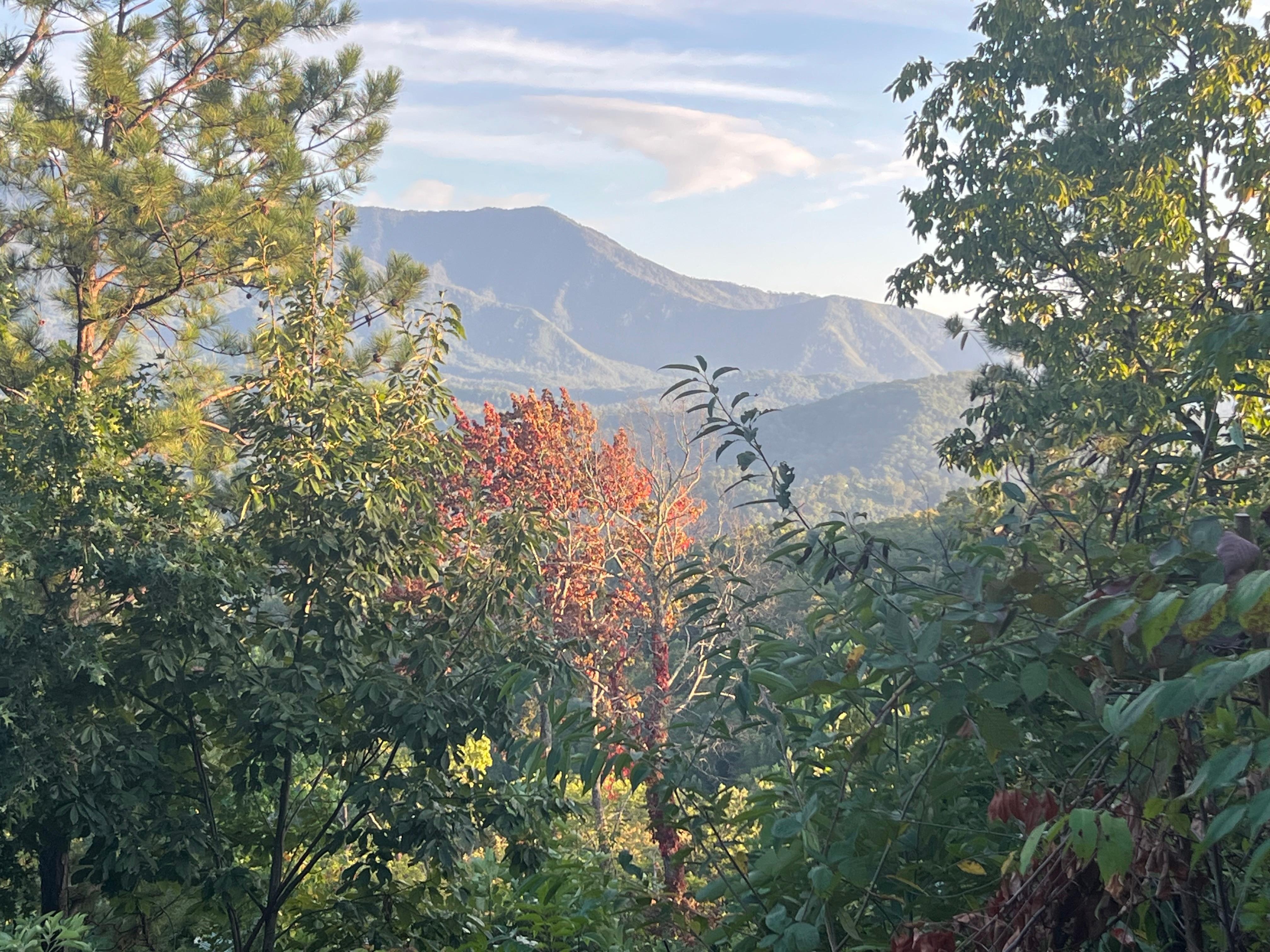 View from balcony was gorgeous!