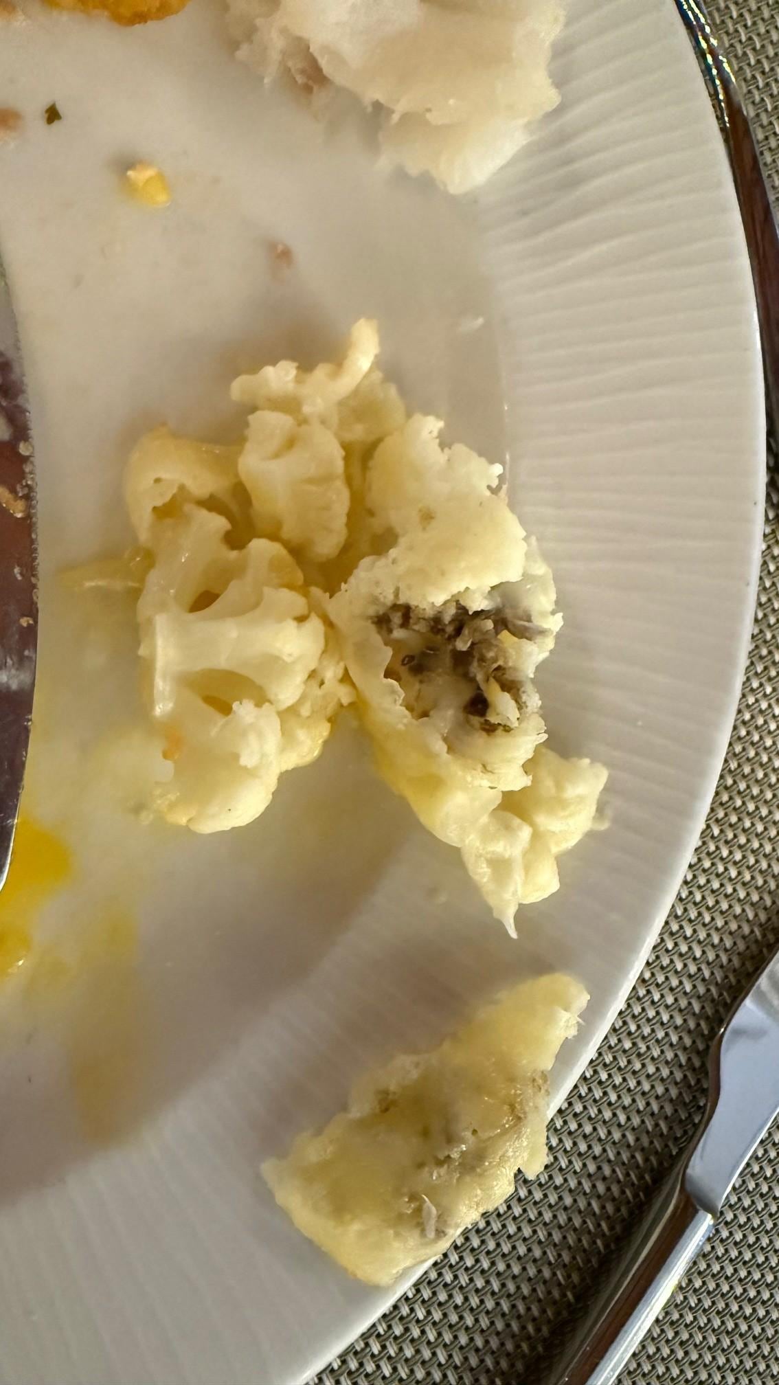 The rotten food we were served in the restaurant.