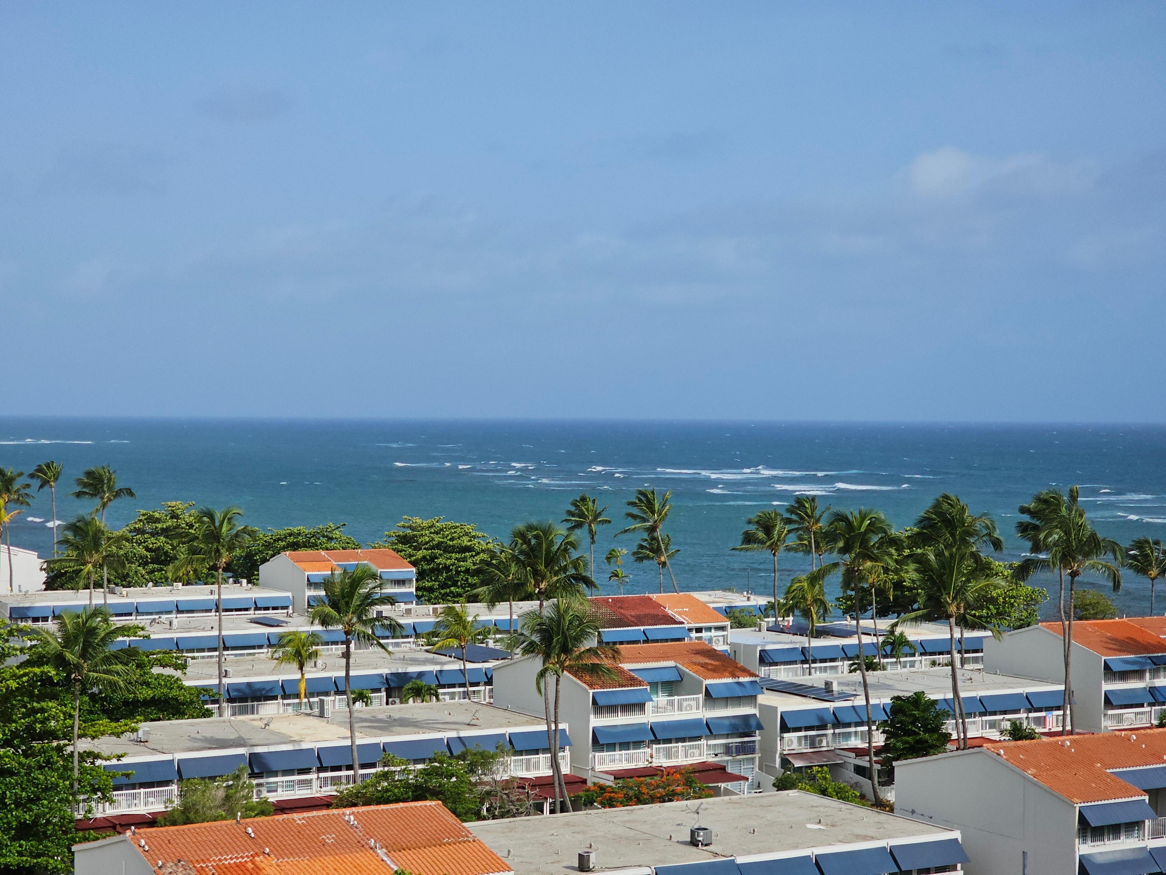 View from a non-ocean view room!