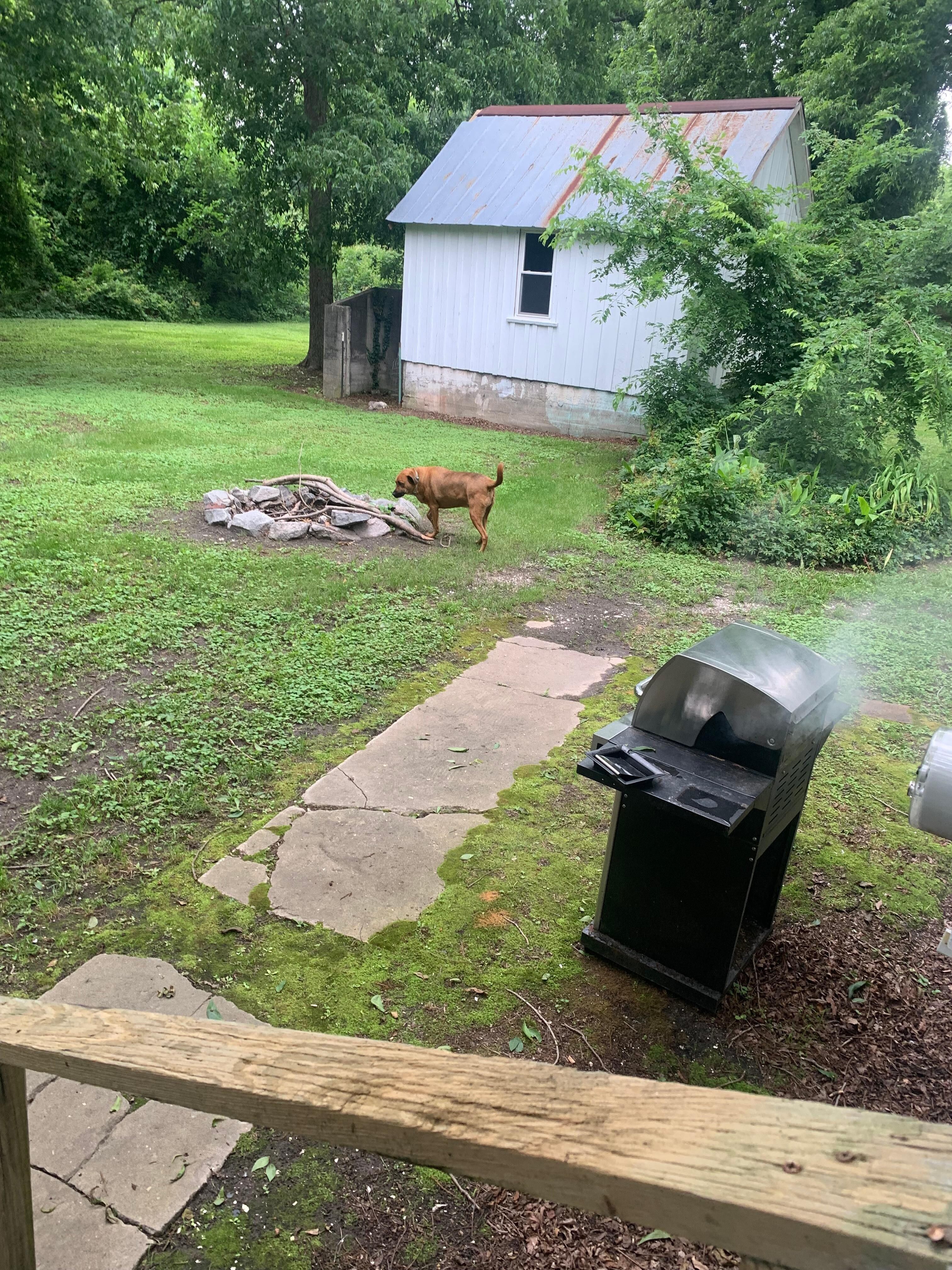 Grilling and chilling with the puppy who absolutely was in heaven! 