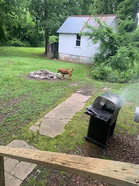 Grilling and chilling with the puppy who absolutely was in heaven!