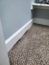 Previous customers pet fur left in cracks