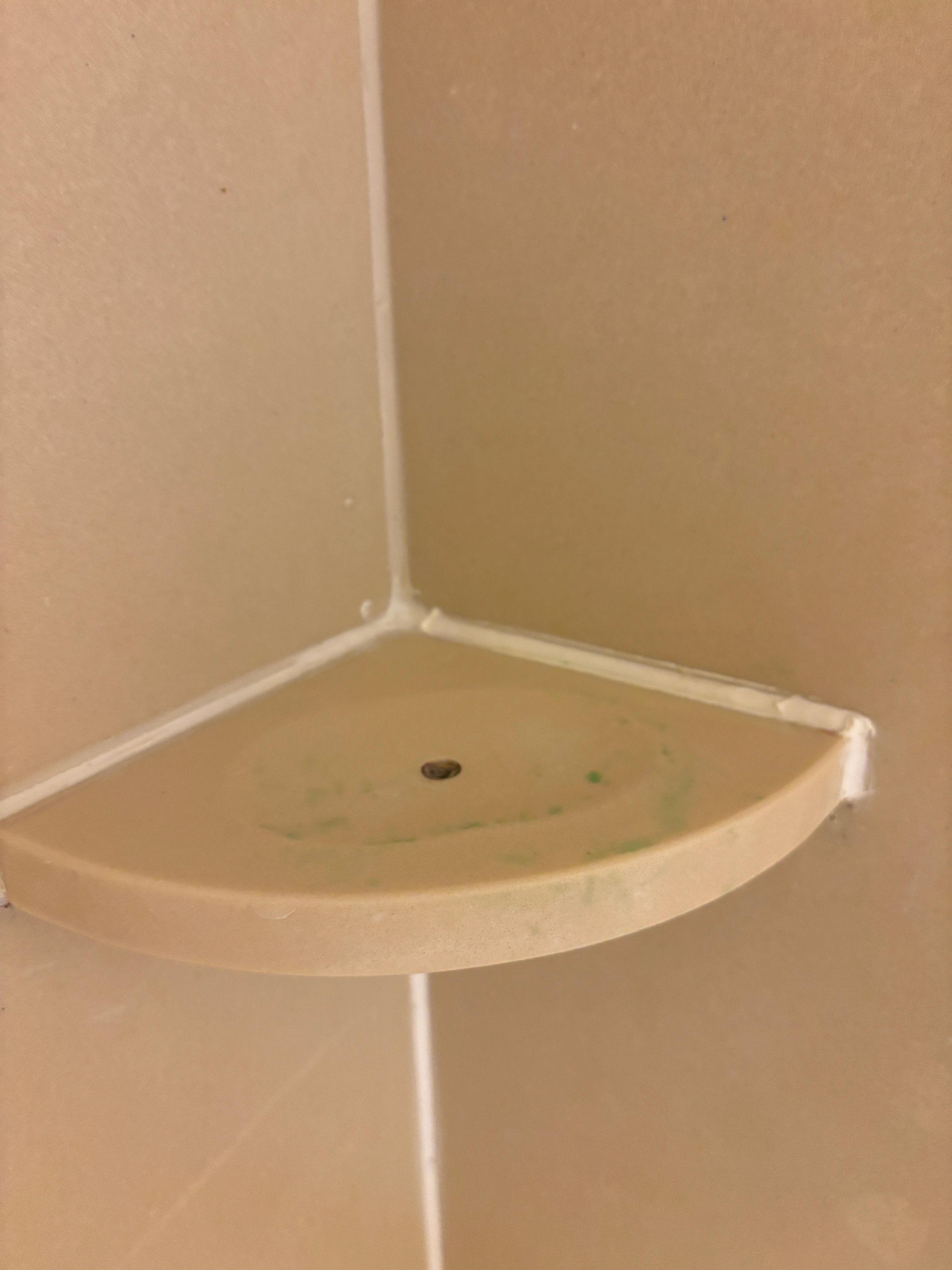 This was the worst part, the shower was clearly not cleaned after the last guest. 