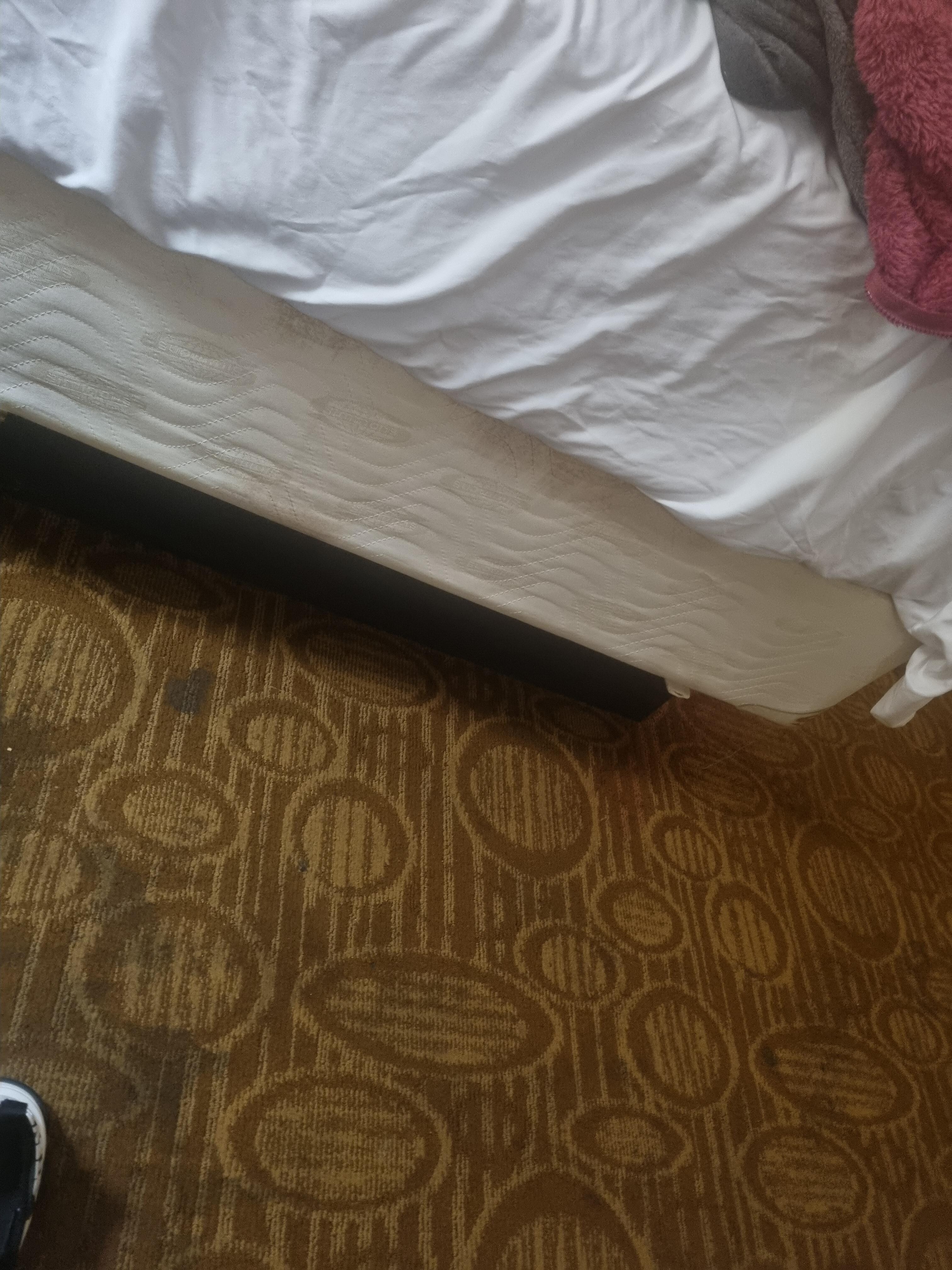 La alfombra super social  la cama sin rodapie,no habia shampo ,ni cremas ni nada,solo unos jabones ,muy abandonado el lugar