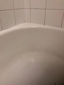 Shower over filthy bath
