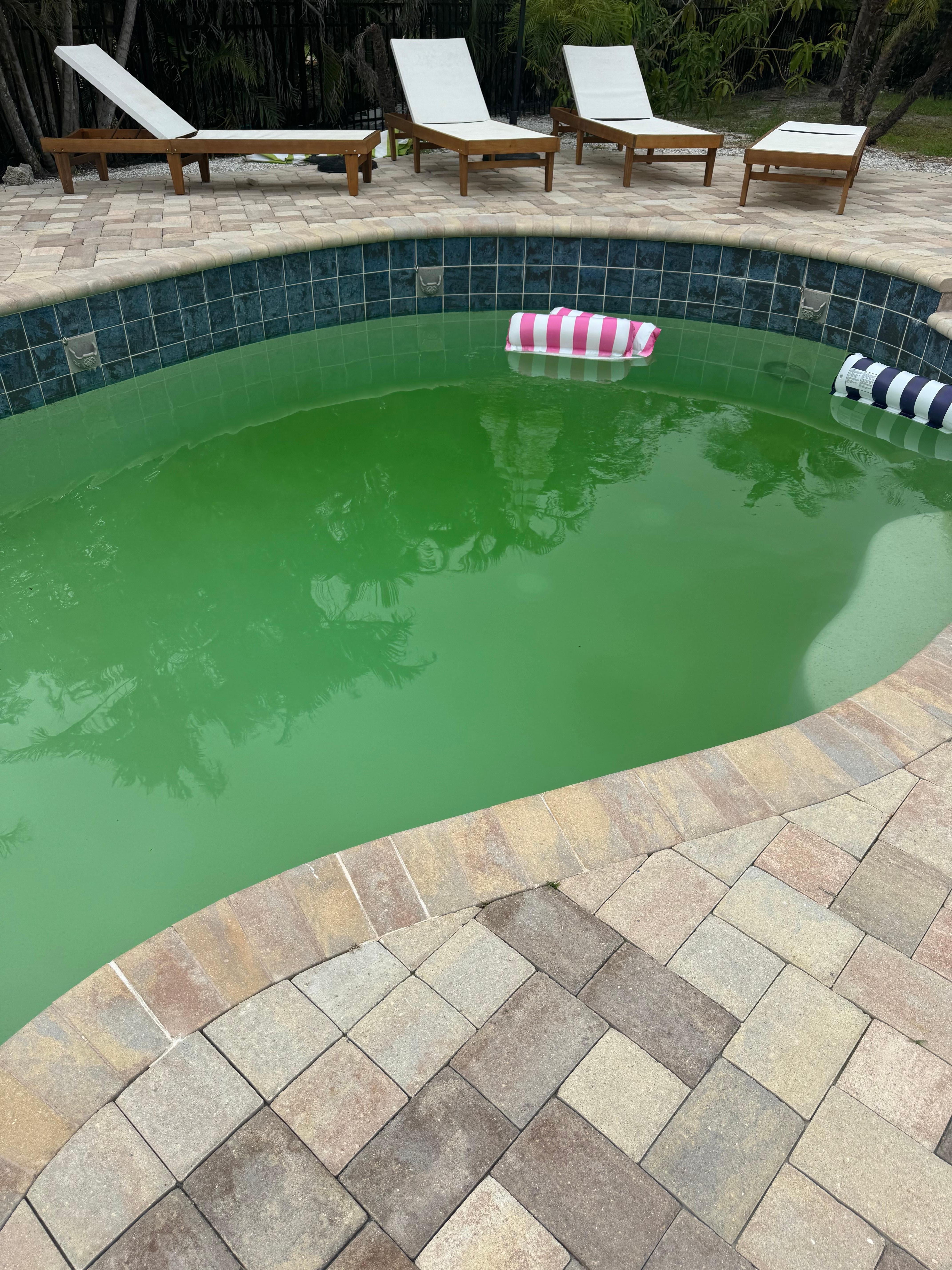 The last three days of the pool.