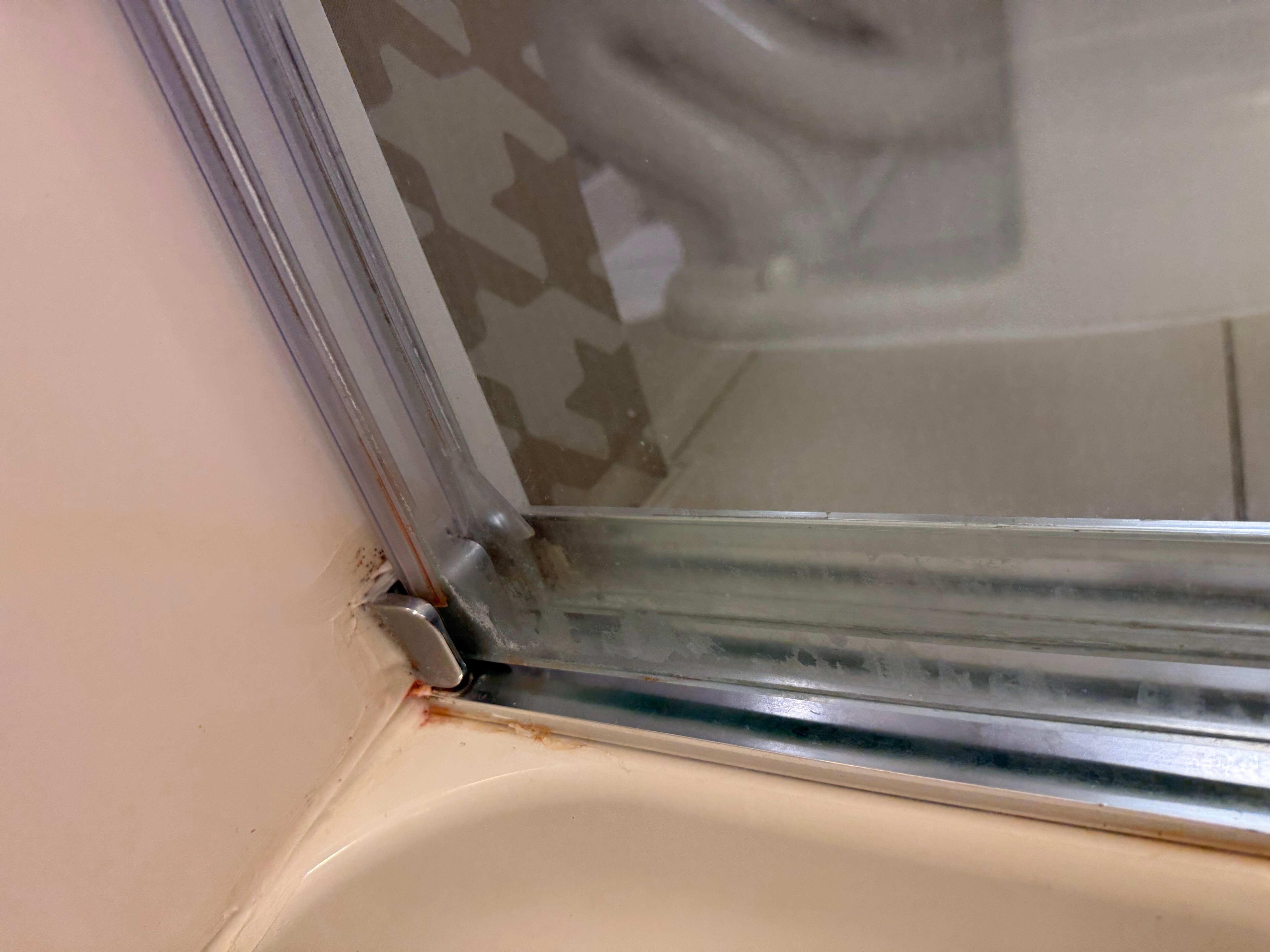 Rust and pink mildew in shower