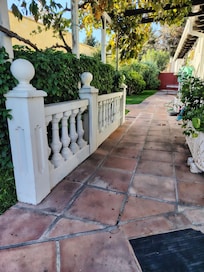 Grapevine garden area (with lovely grapes)