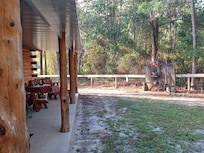 Solitude in the woods.