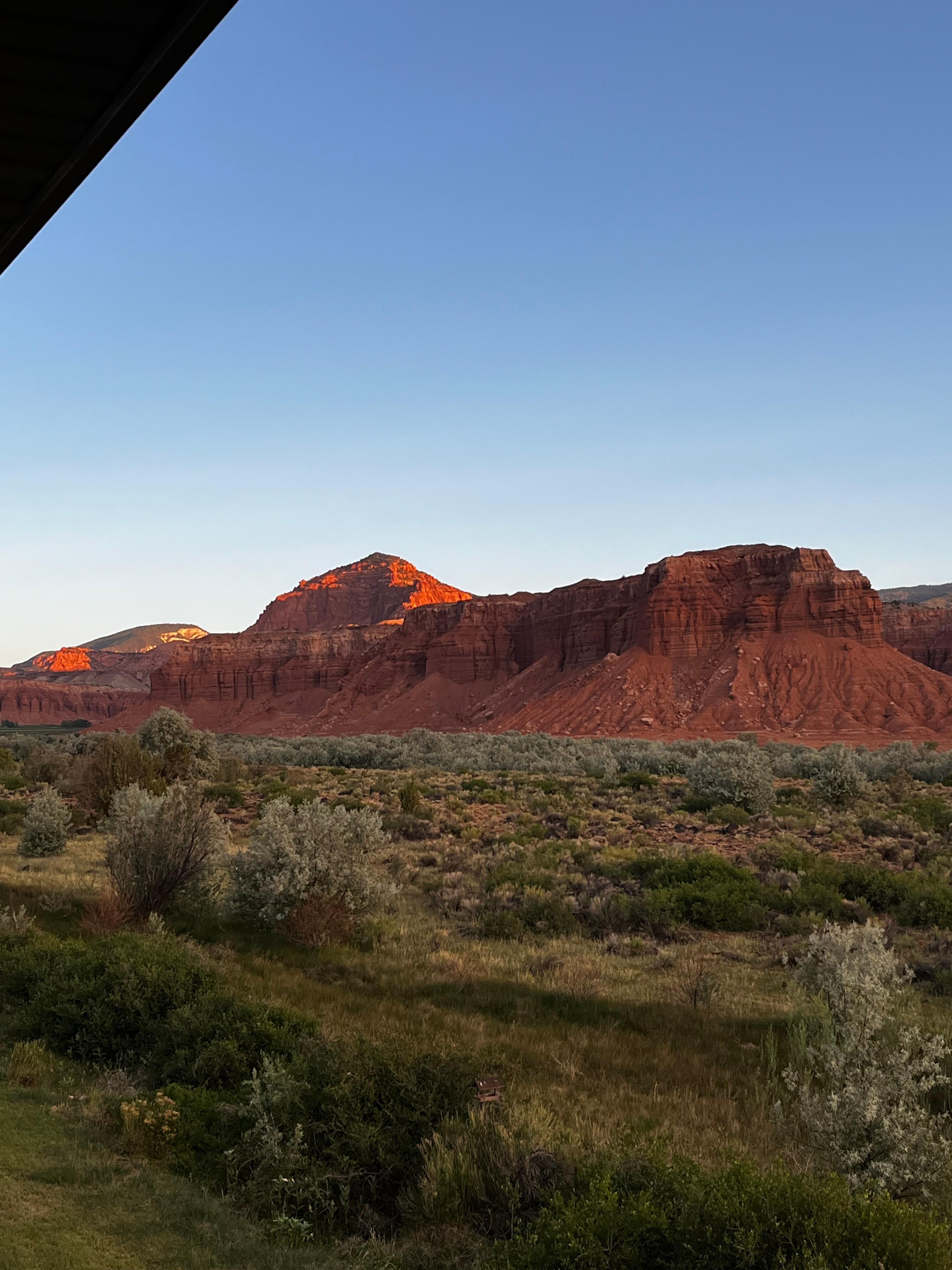 View from patio of room. 