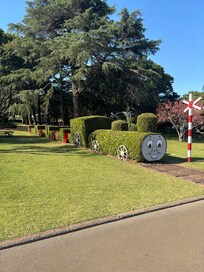 Pictures from both parks for Toowoomba Carnival of Flowers