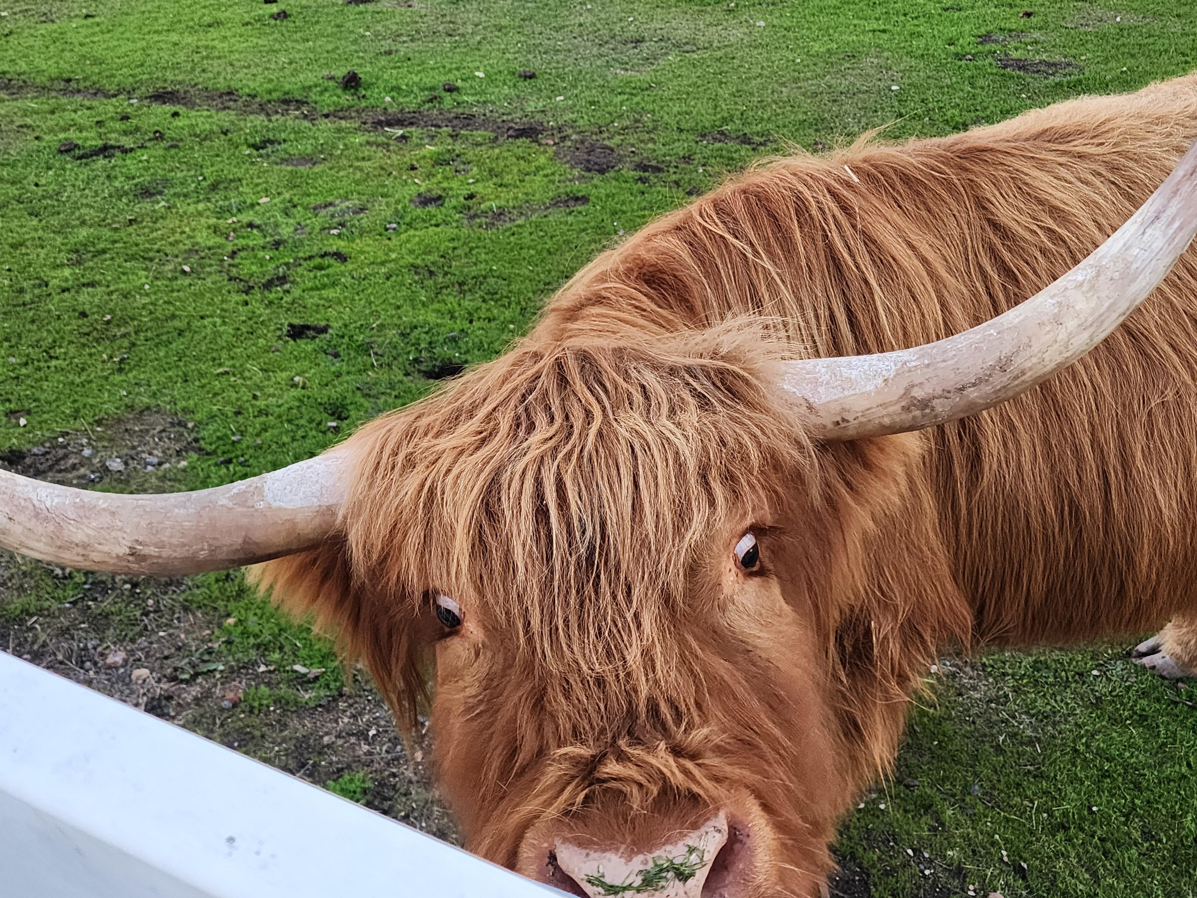 Good morning, friend. 