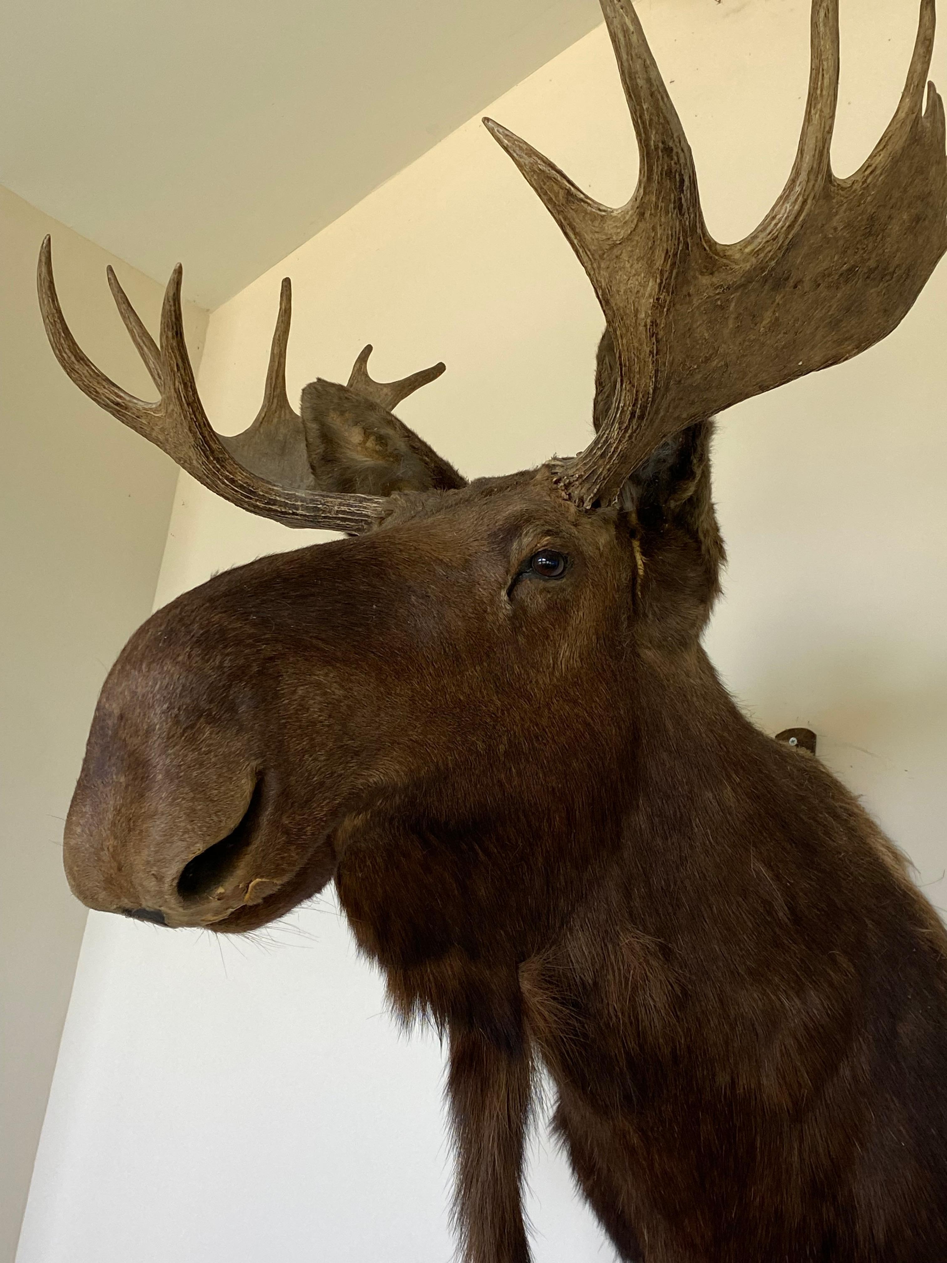 My new friend in the game room