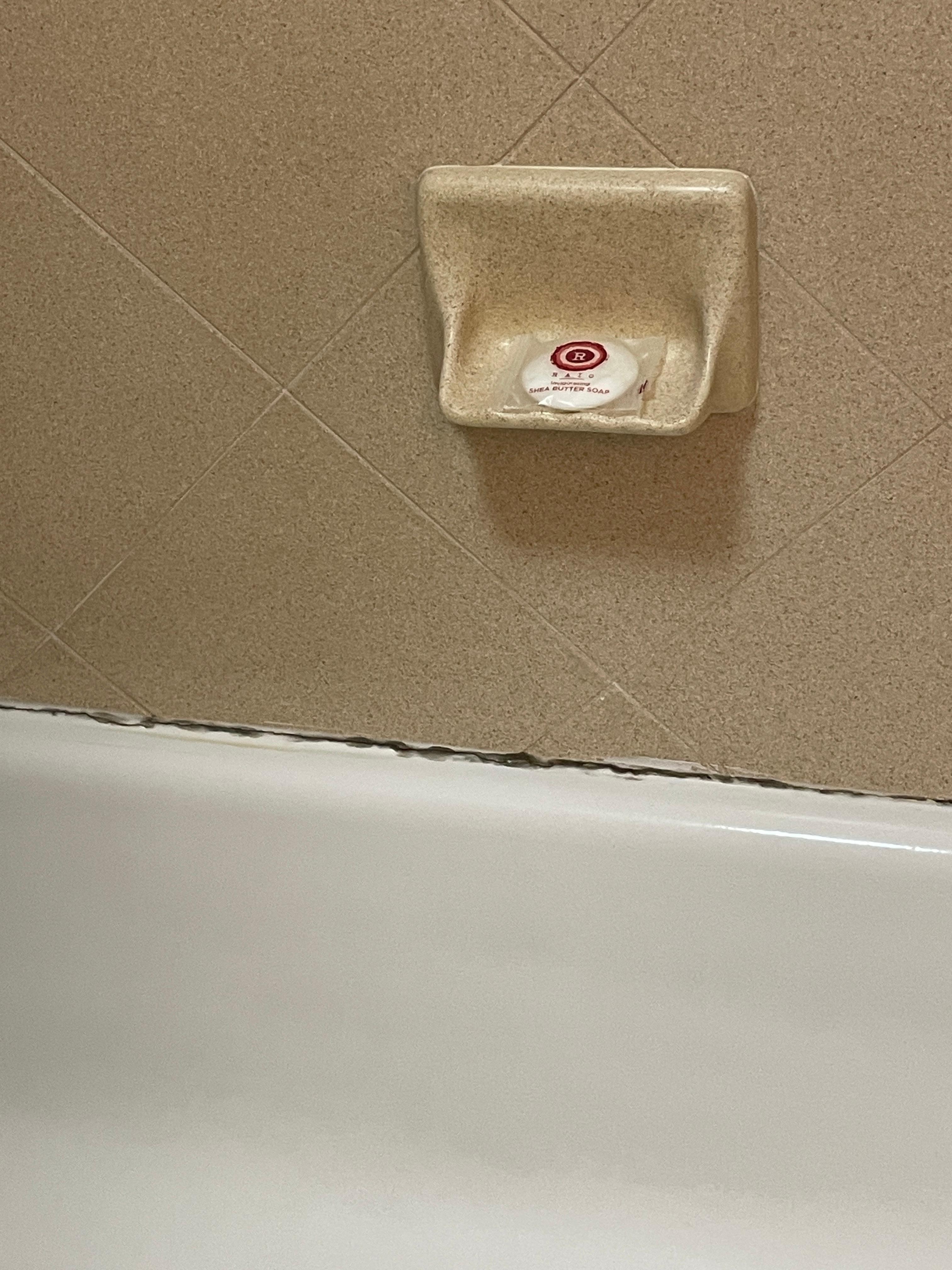 Mold in the shower