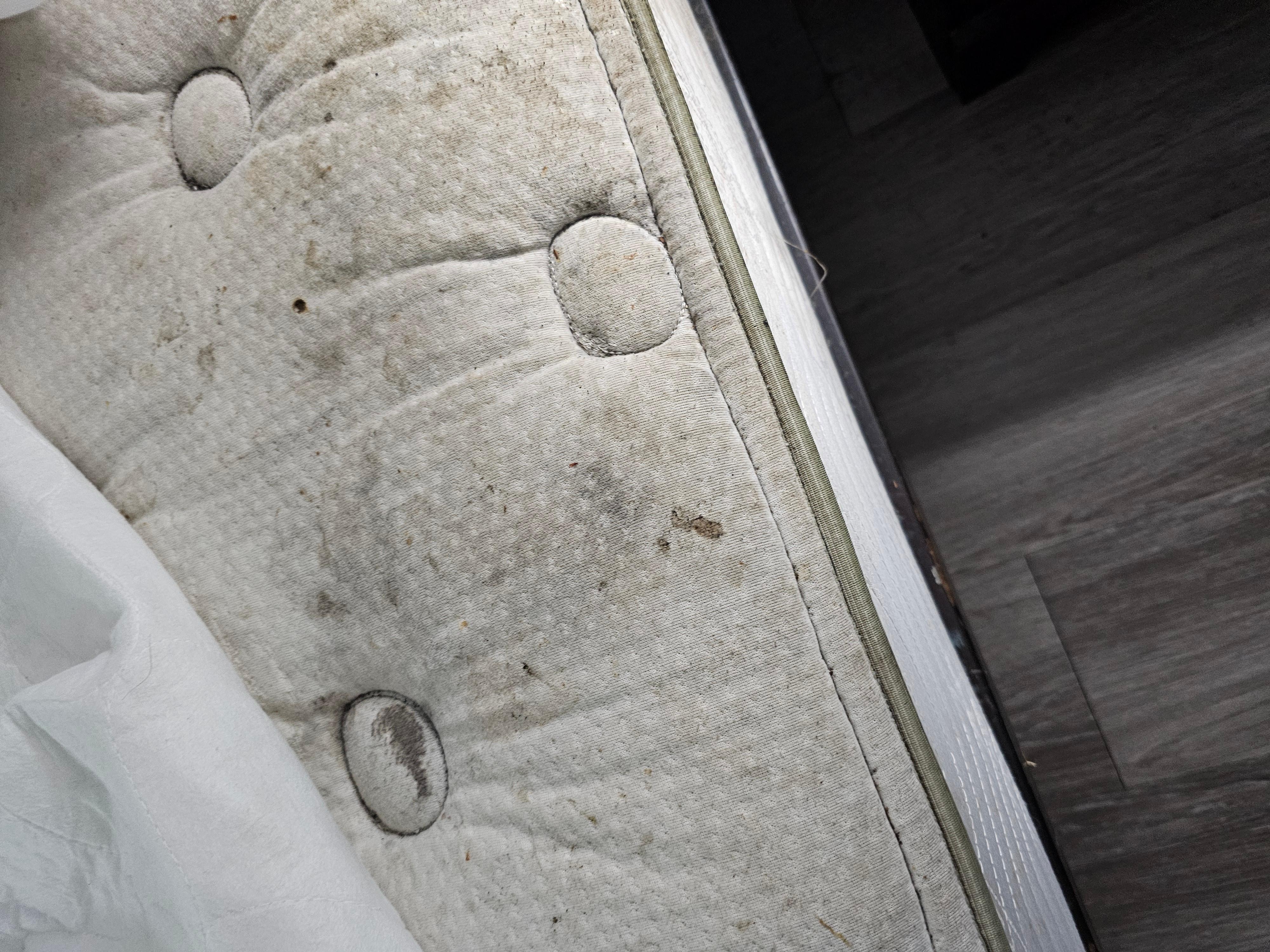 totally filthy mattress