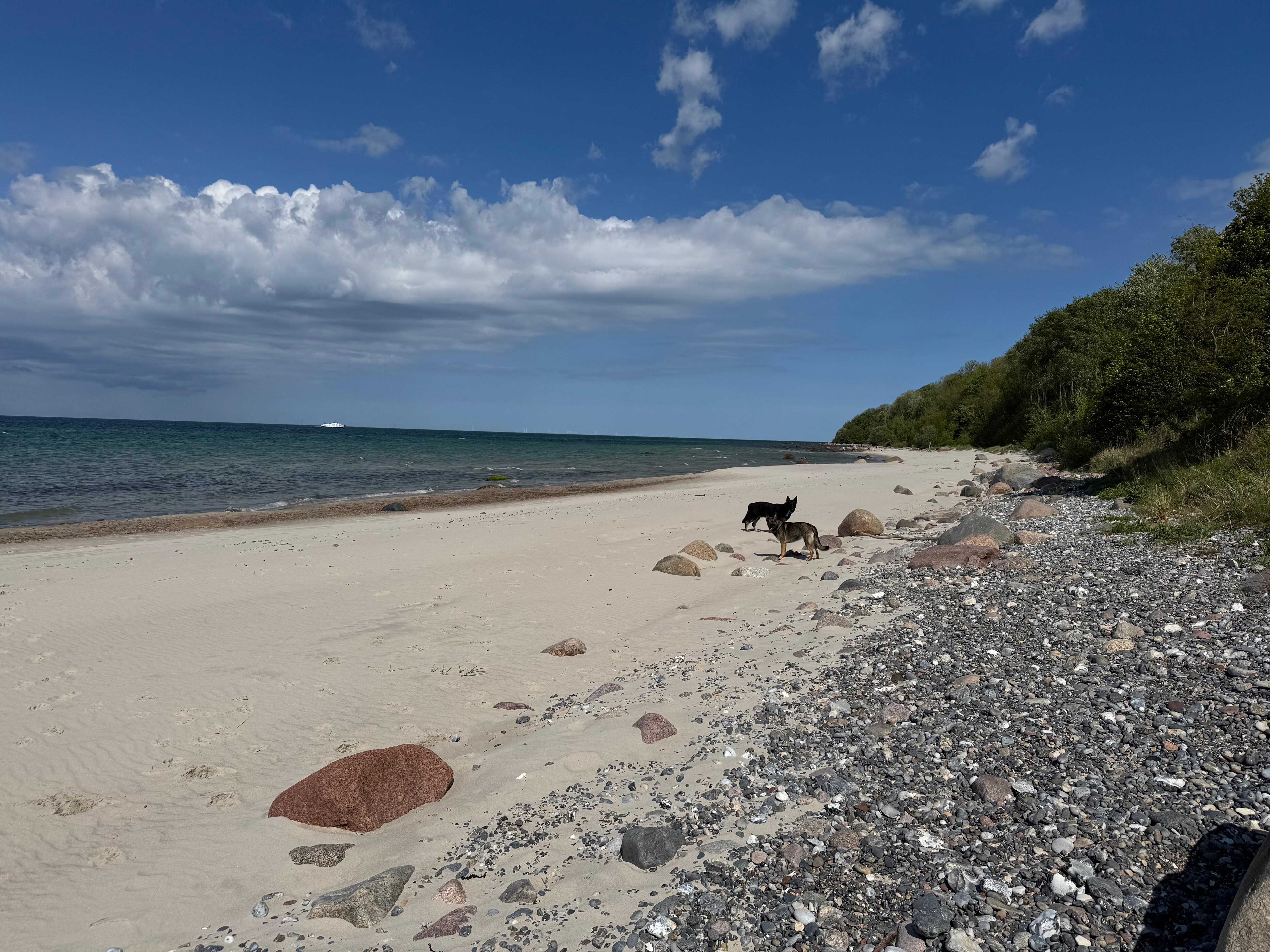 Nordstrand im Mai