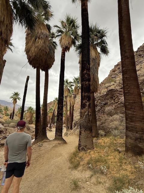 Hiking in Indian Canyons