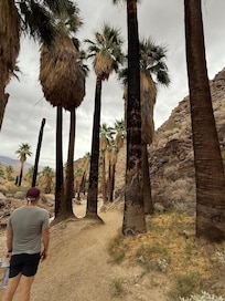 Hiking in Indian Canyons
