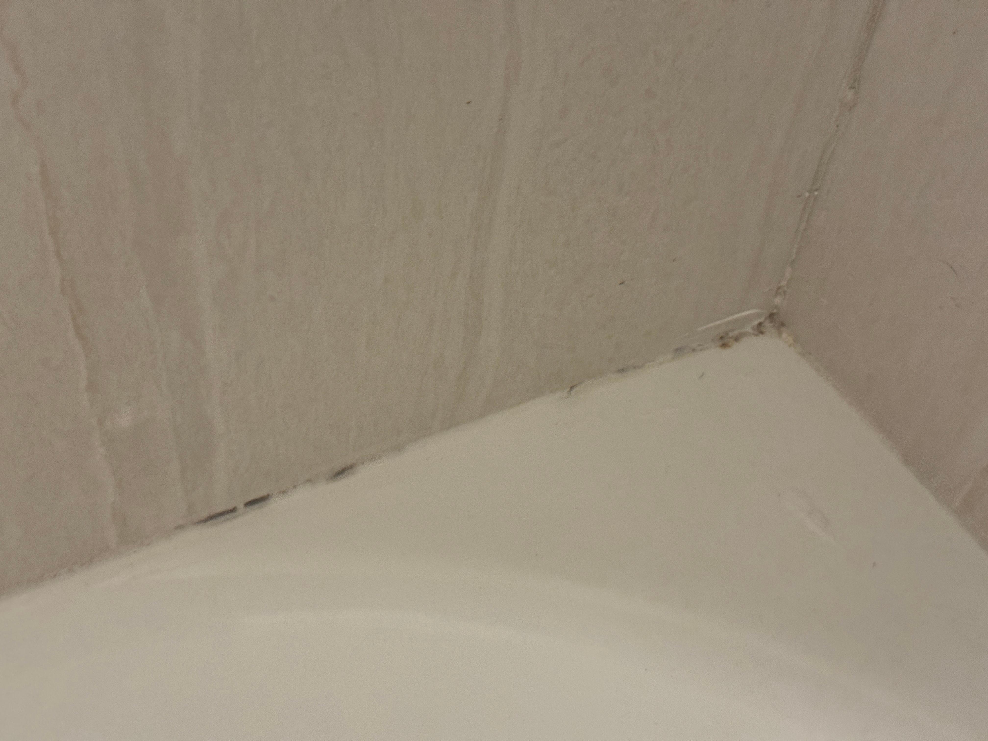 Mold in the shower