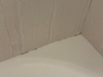 Mold in the shower