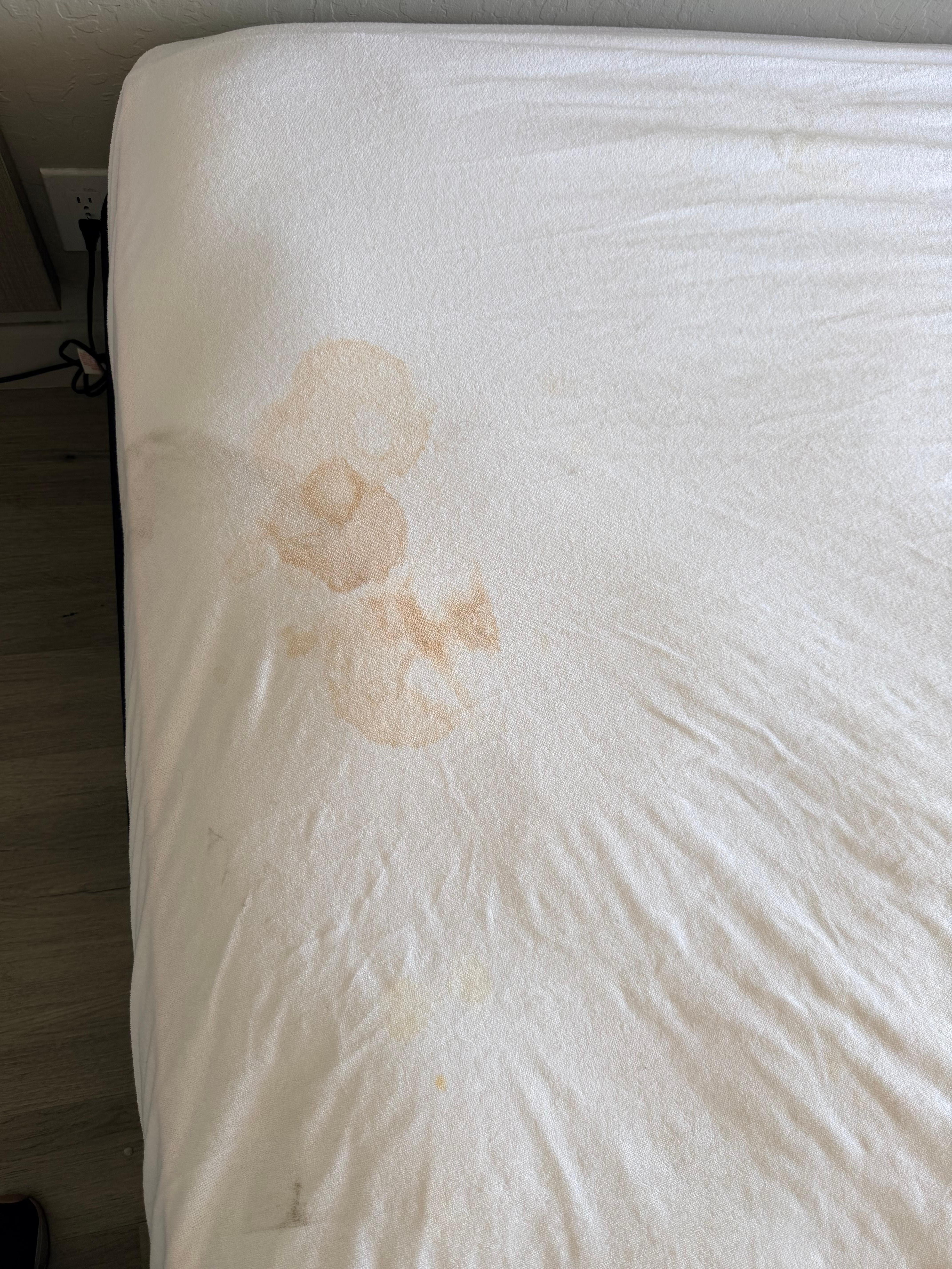 Disgusting mattress liner