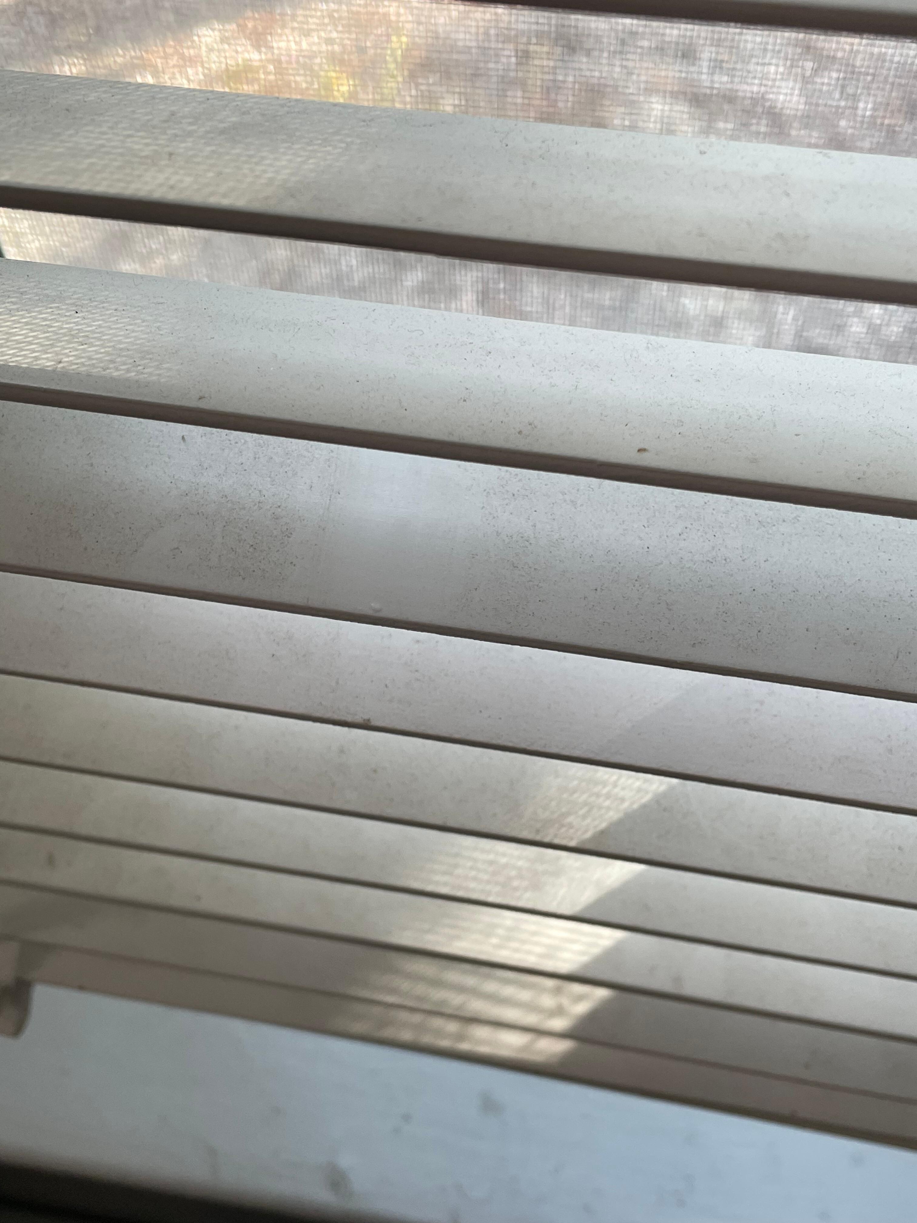 dirty blinds.